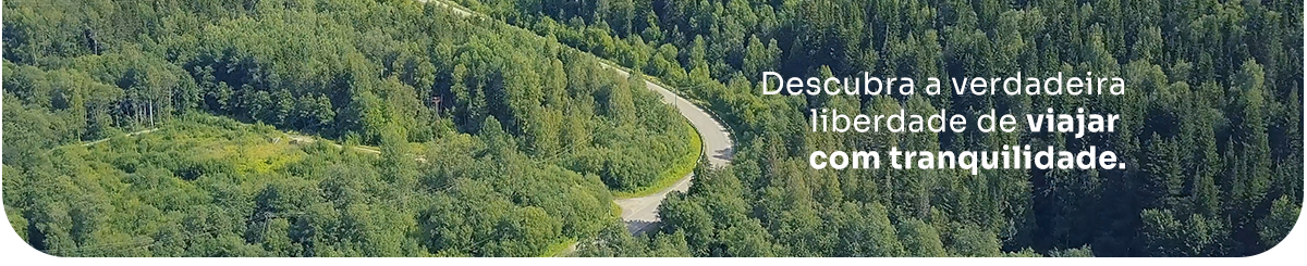 Uma vista aérea de uma estrada que atravessa uma floresta