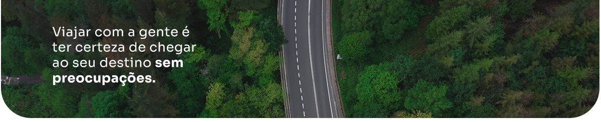 Uma vista aérea de uma estrada que atravessa uma floresta