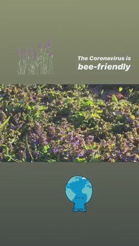 The coronavirus is bee-friendly
