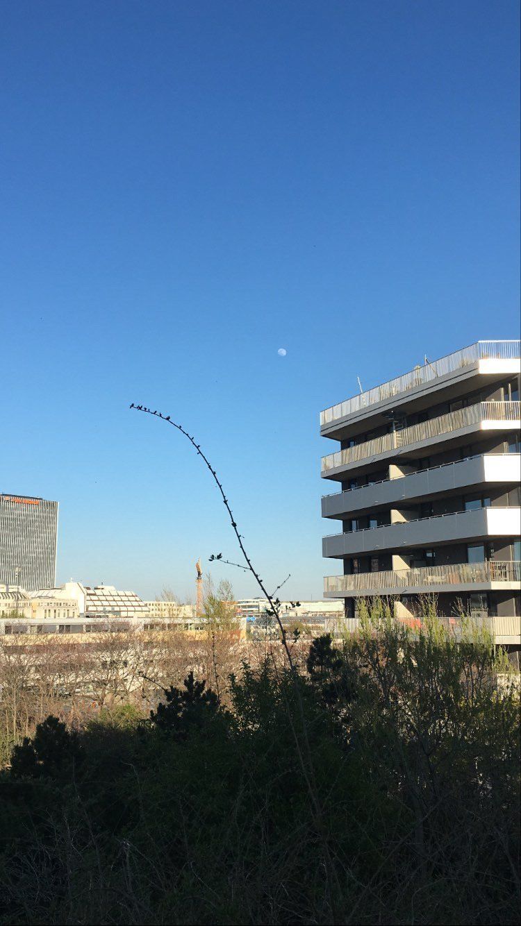 We observe clear, blue sky even in the city