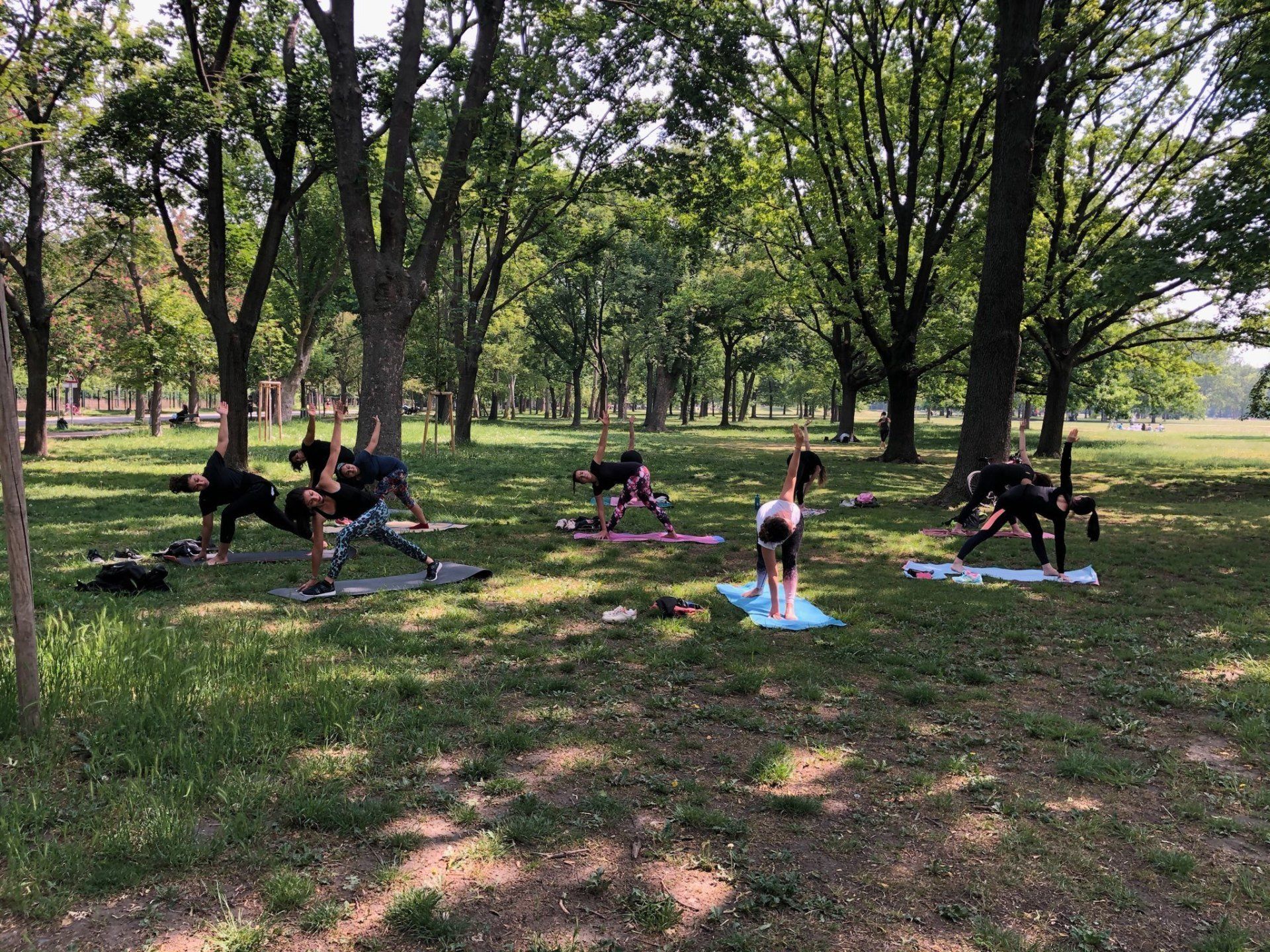 yoga in the park 2020 was a highlight
