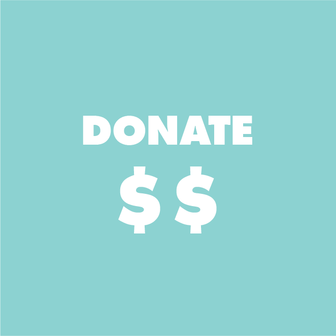 Donate Nominate Your Amount $$