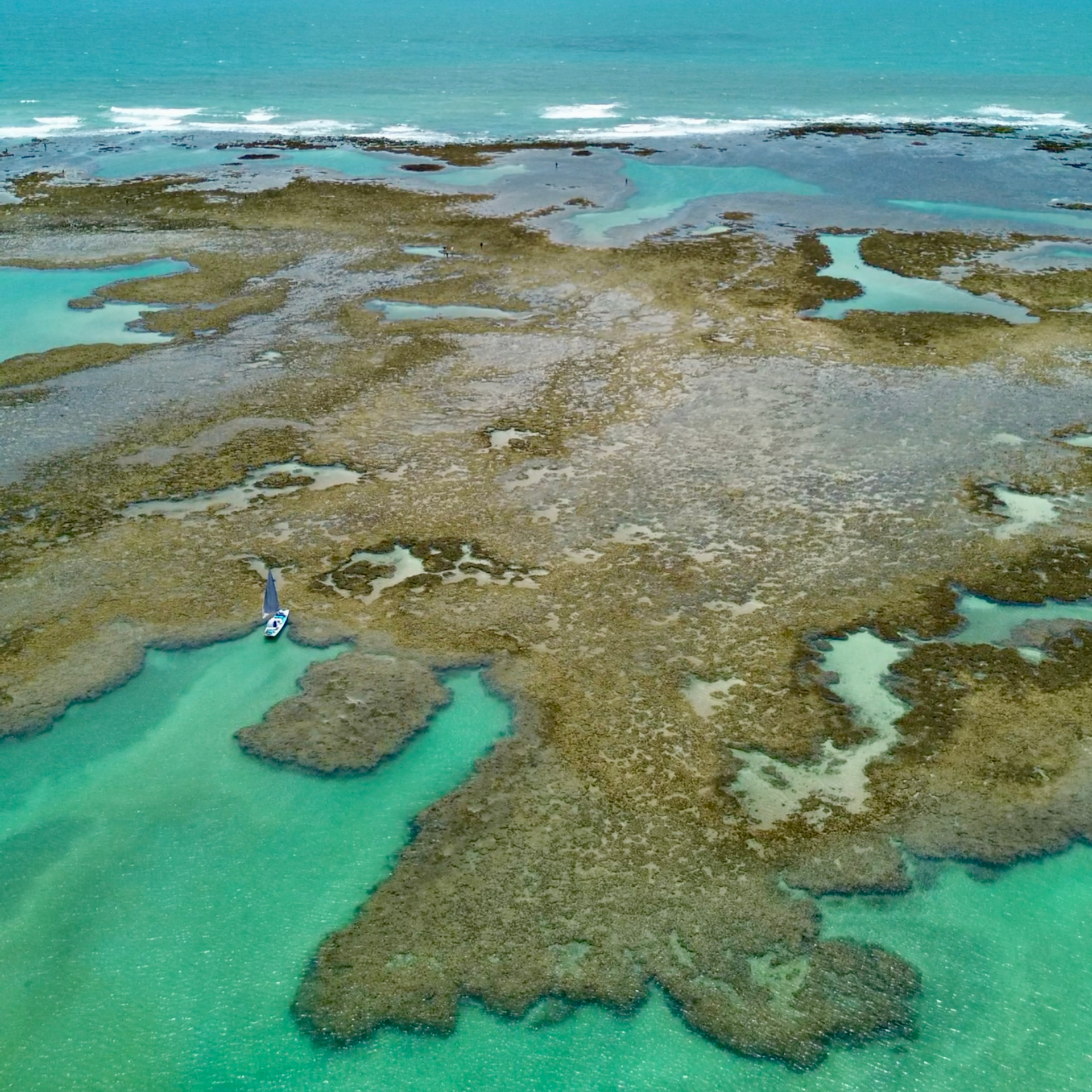 Passeio de Jangada às Piscinas Naturais