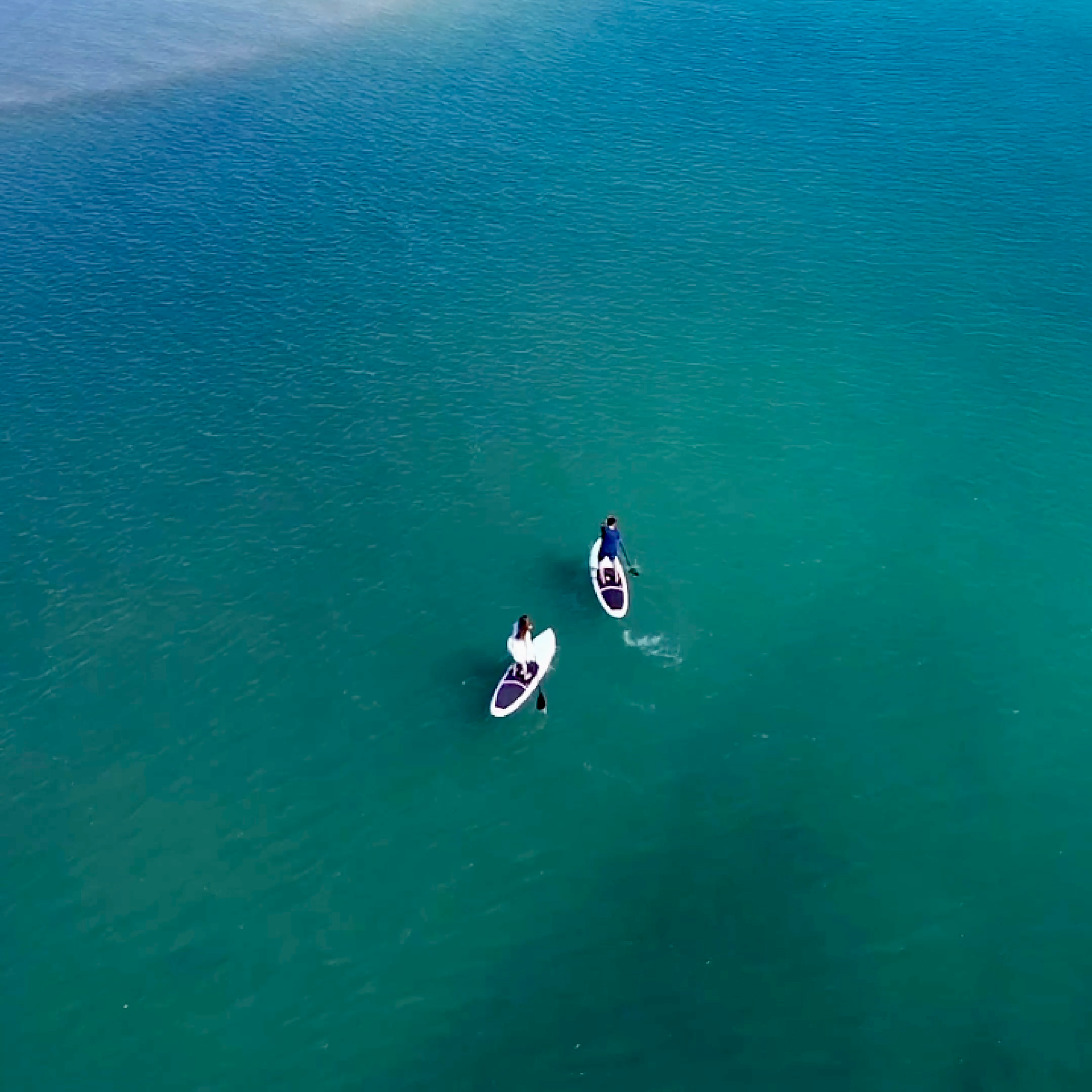Passeio de Stand Up ou Caiaque