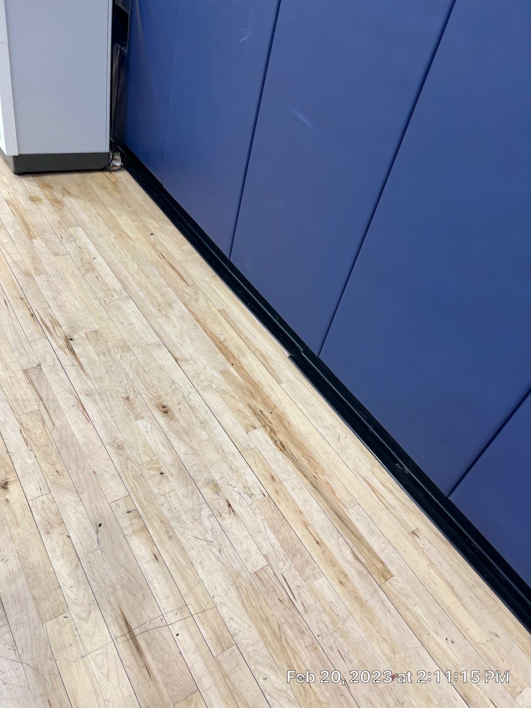 A wooden floor with a blue wall in the background.