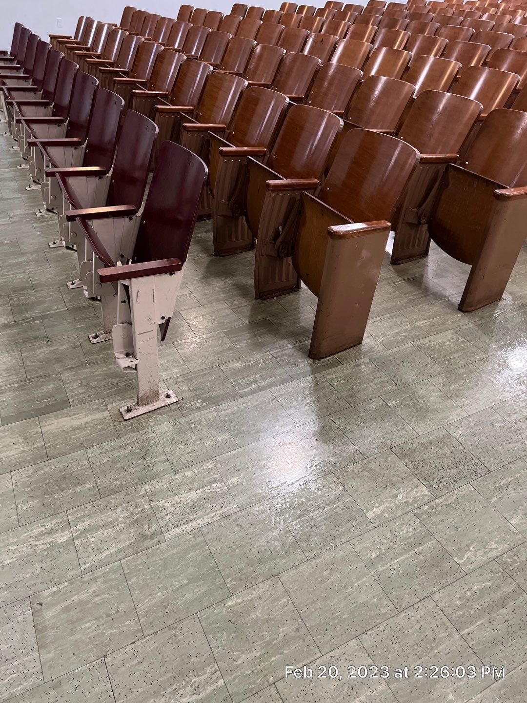 A row of wooden chairs in a large auditorium.