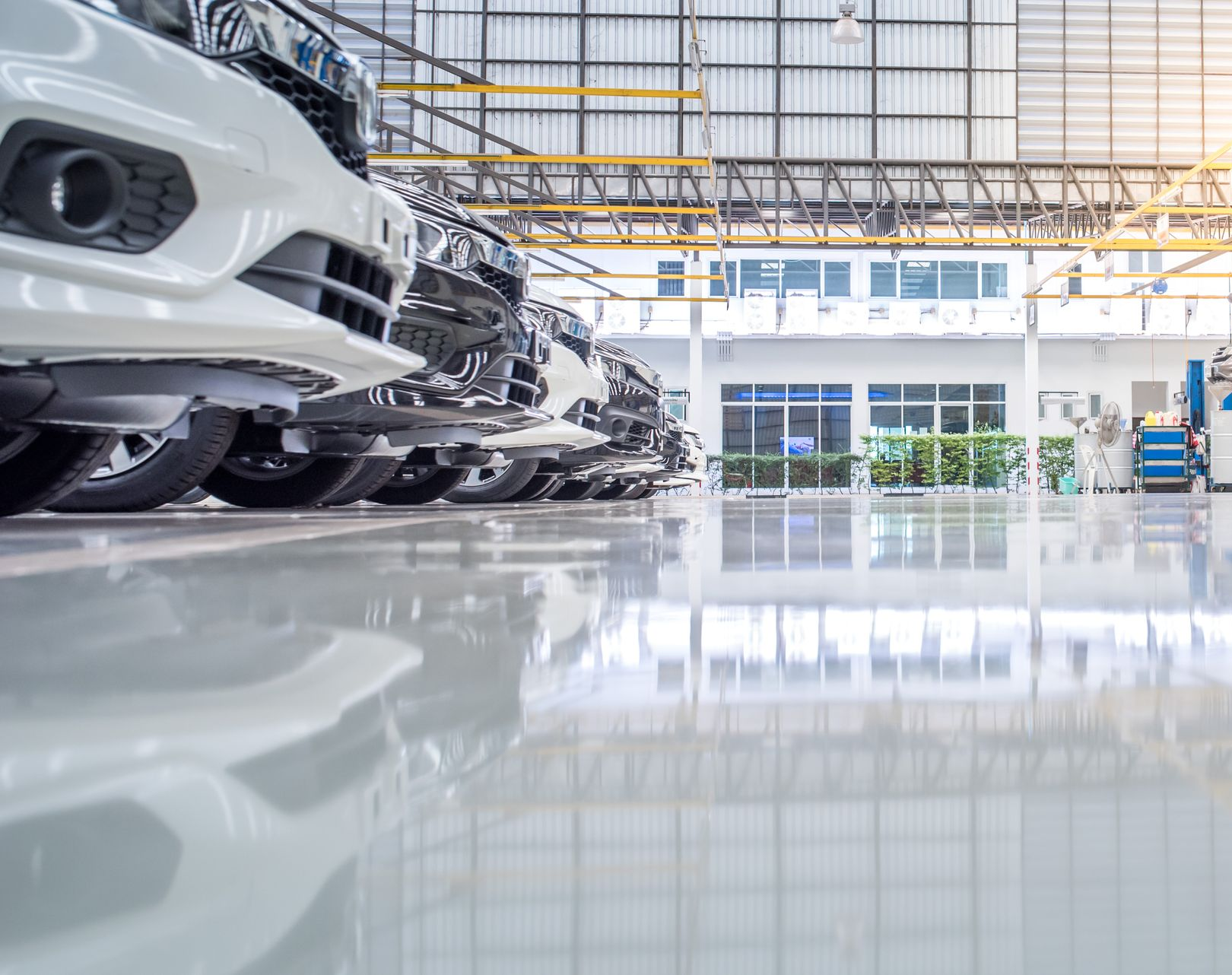 Row of white cars parked inside a bright, modern auto shop with a shiny floor.