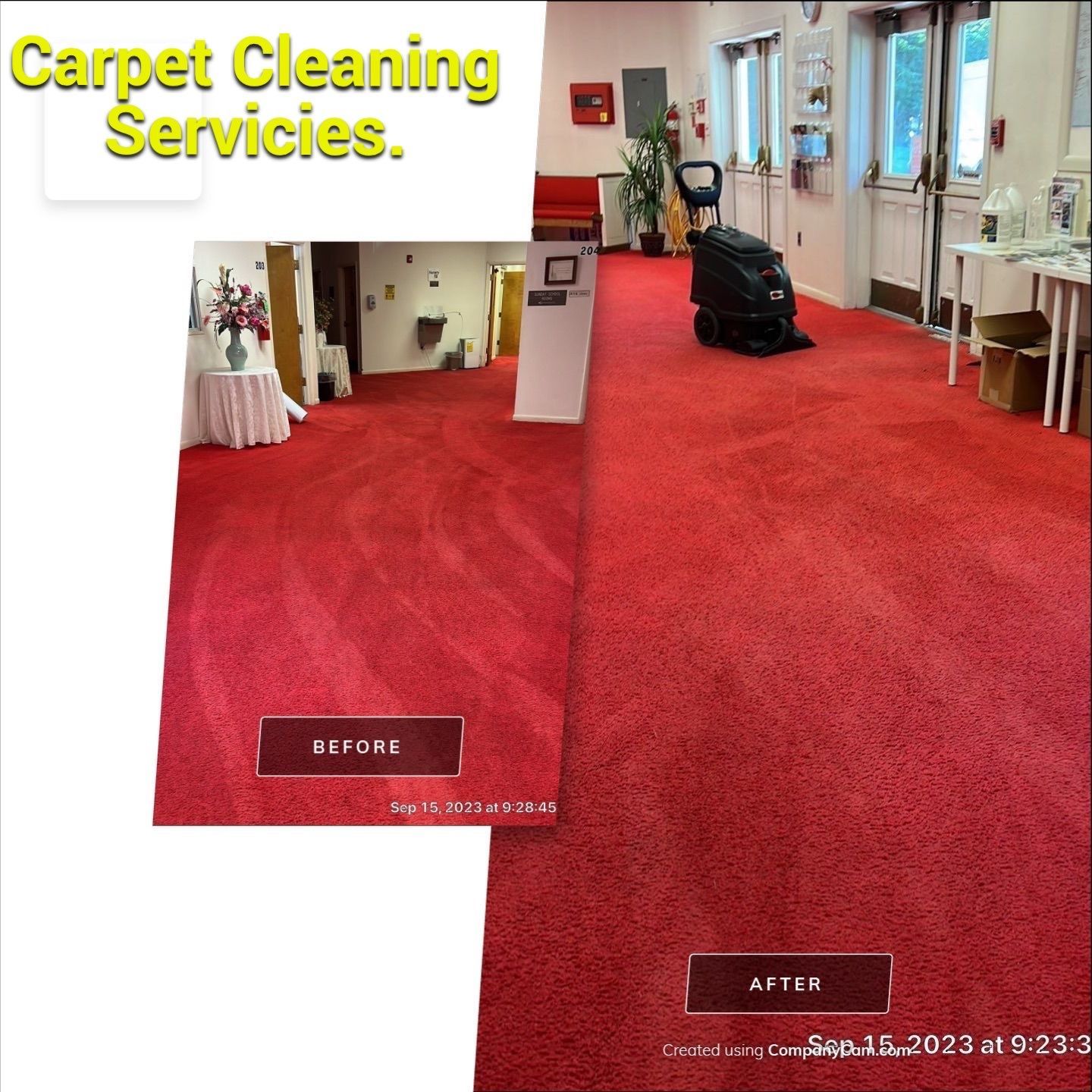 A before and after photo of a carpet cleaning service