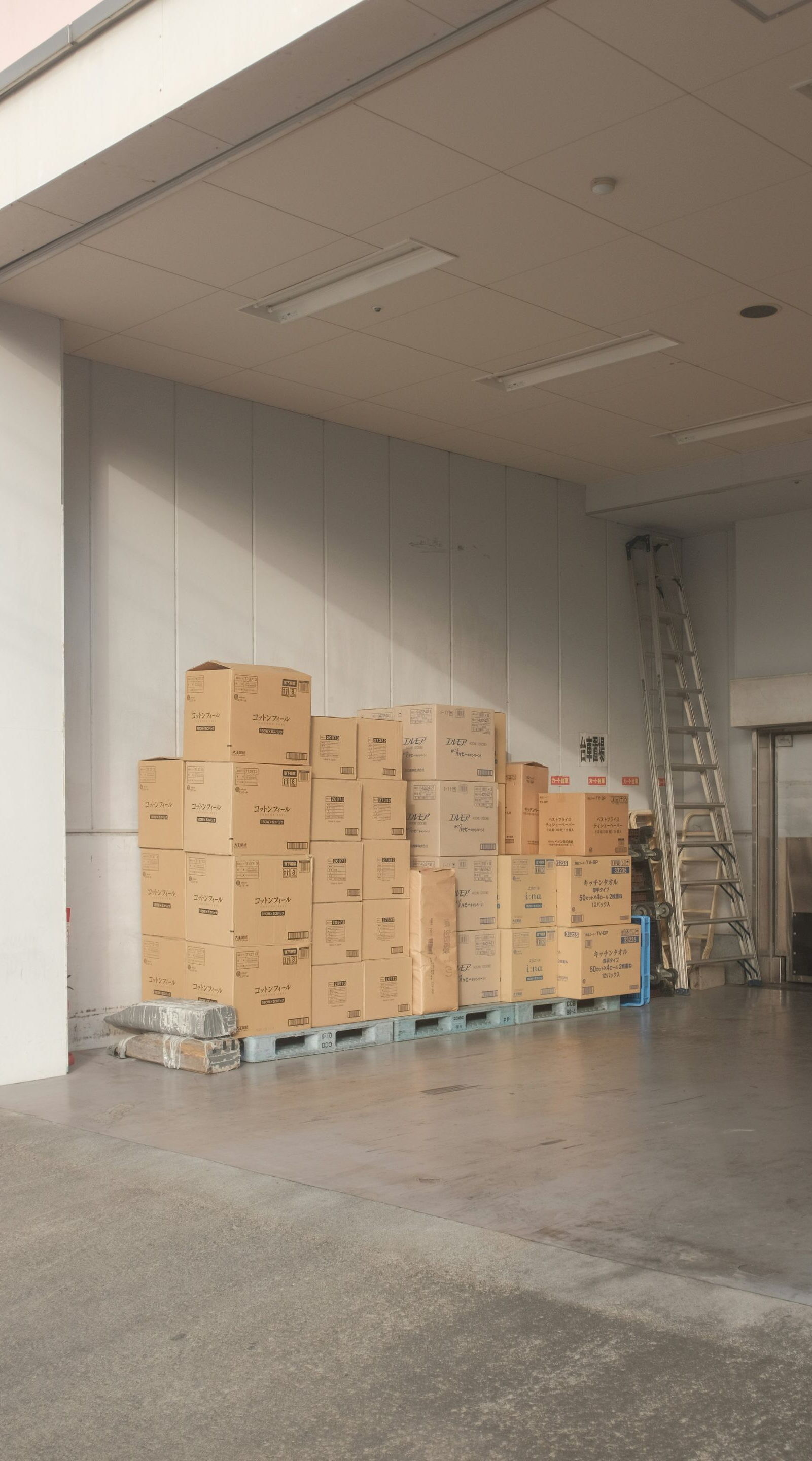 Boxes stacked on a pallet inside a warehouse. Ladder against the wall, loading dock door visible.