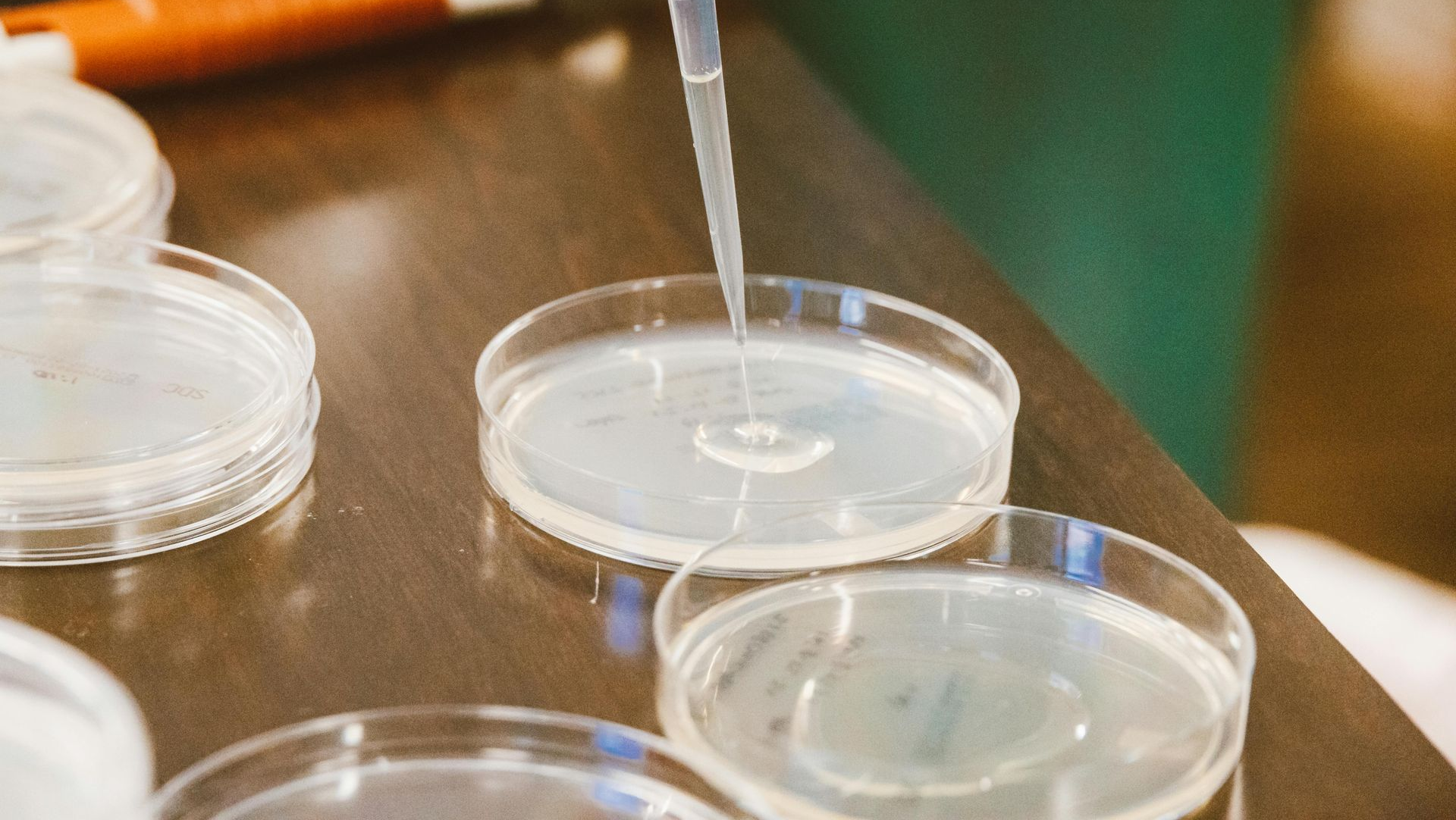 Pipette dispensing liquid into a petri dish on a wooden table. Other dishes and a dispenser are in the background.