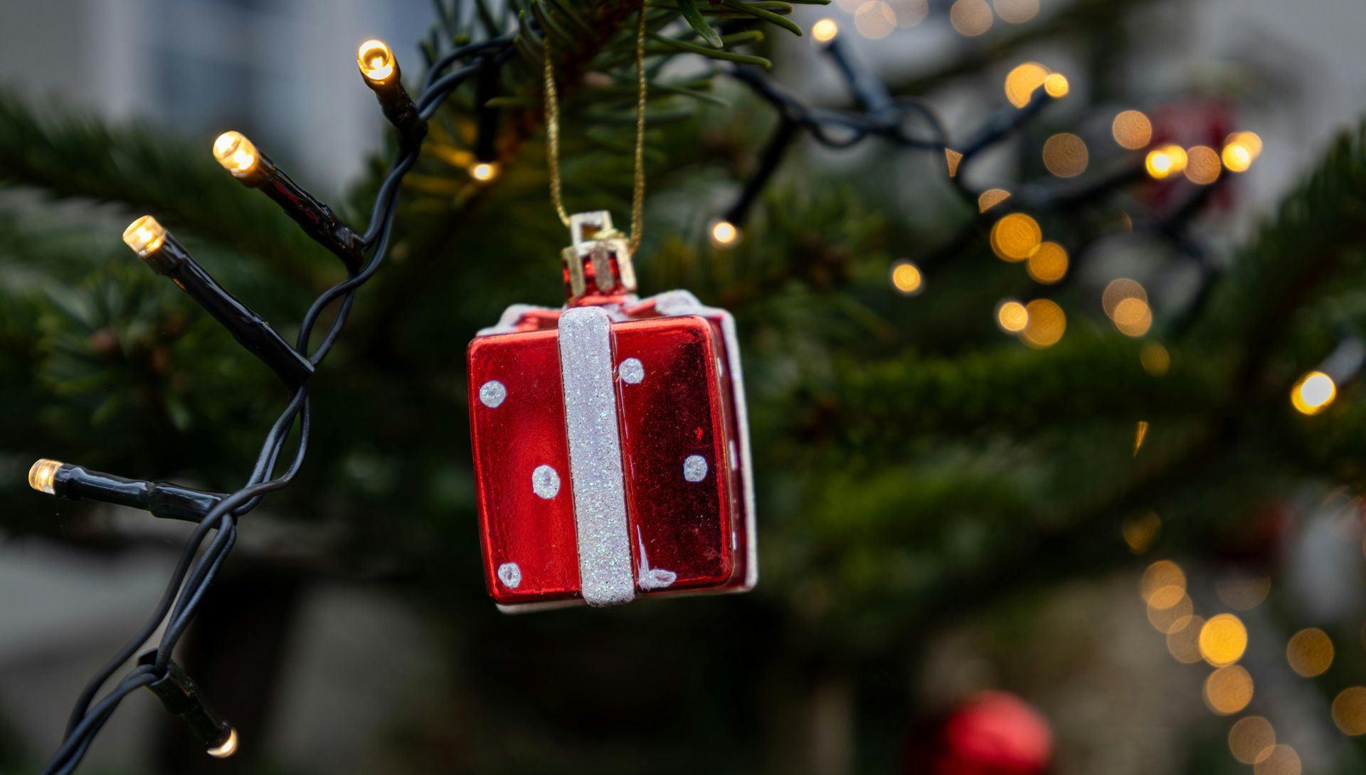 Red gift ornament on a Christmas tree, with string lights.