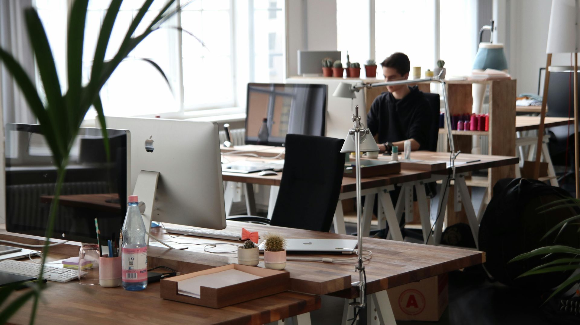 Office with a person at a desk working on a computer. Large monitor, wood desk, plants, and open window.