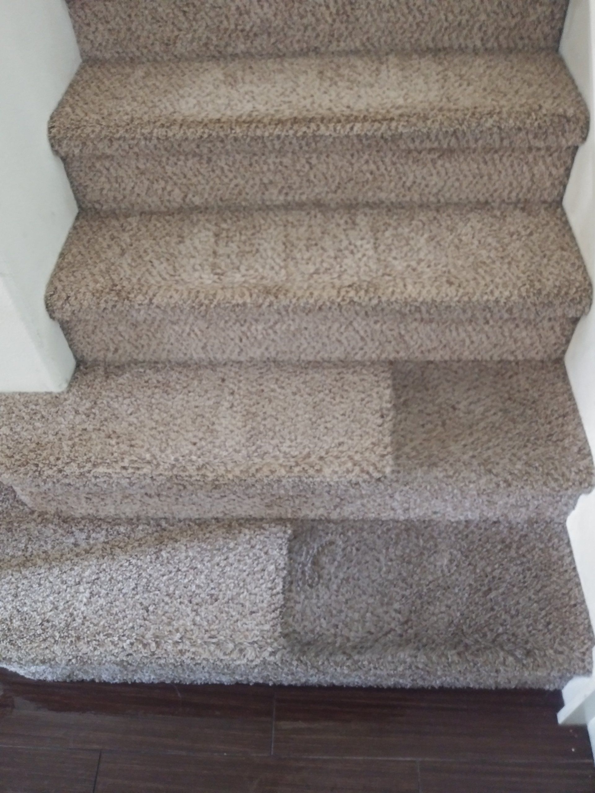 Carpet Staircase Cleaning