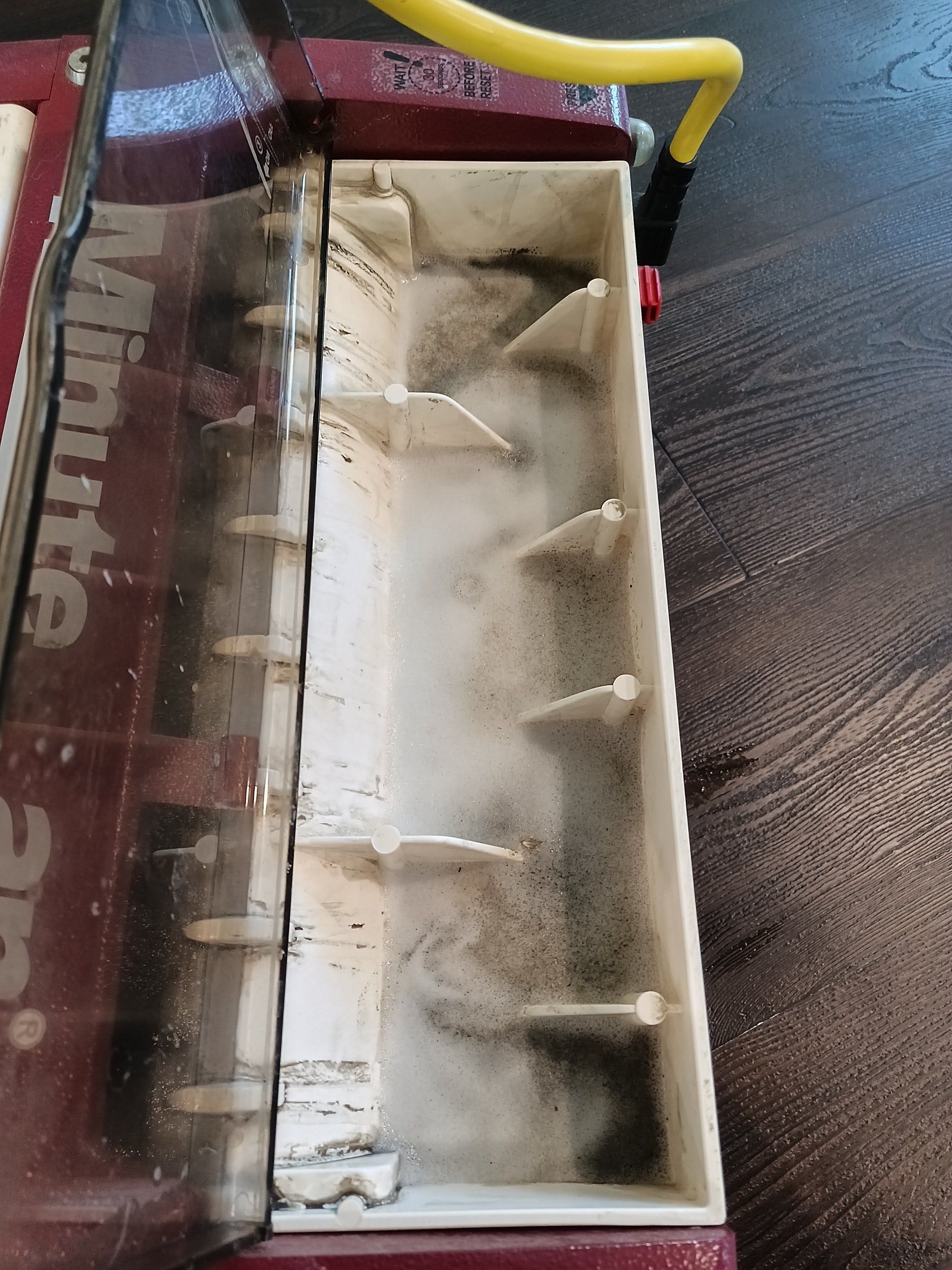 Luxury Vinyl Cleaning