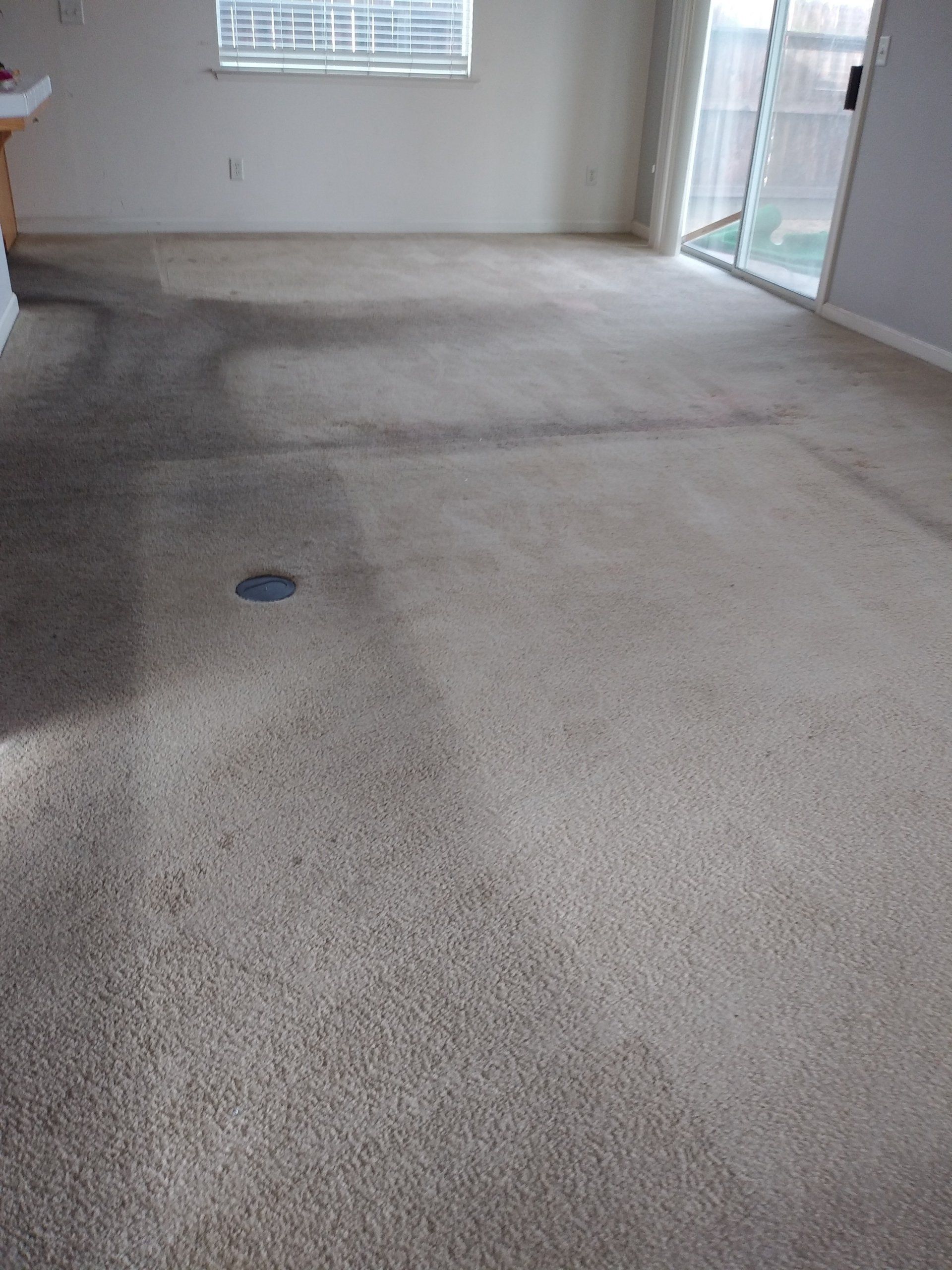 Carpet Cleaning - Before