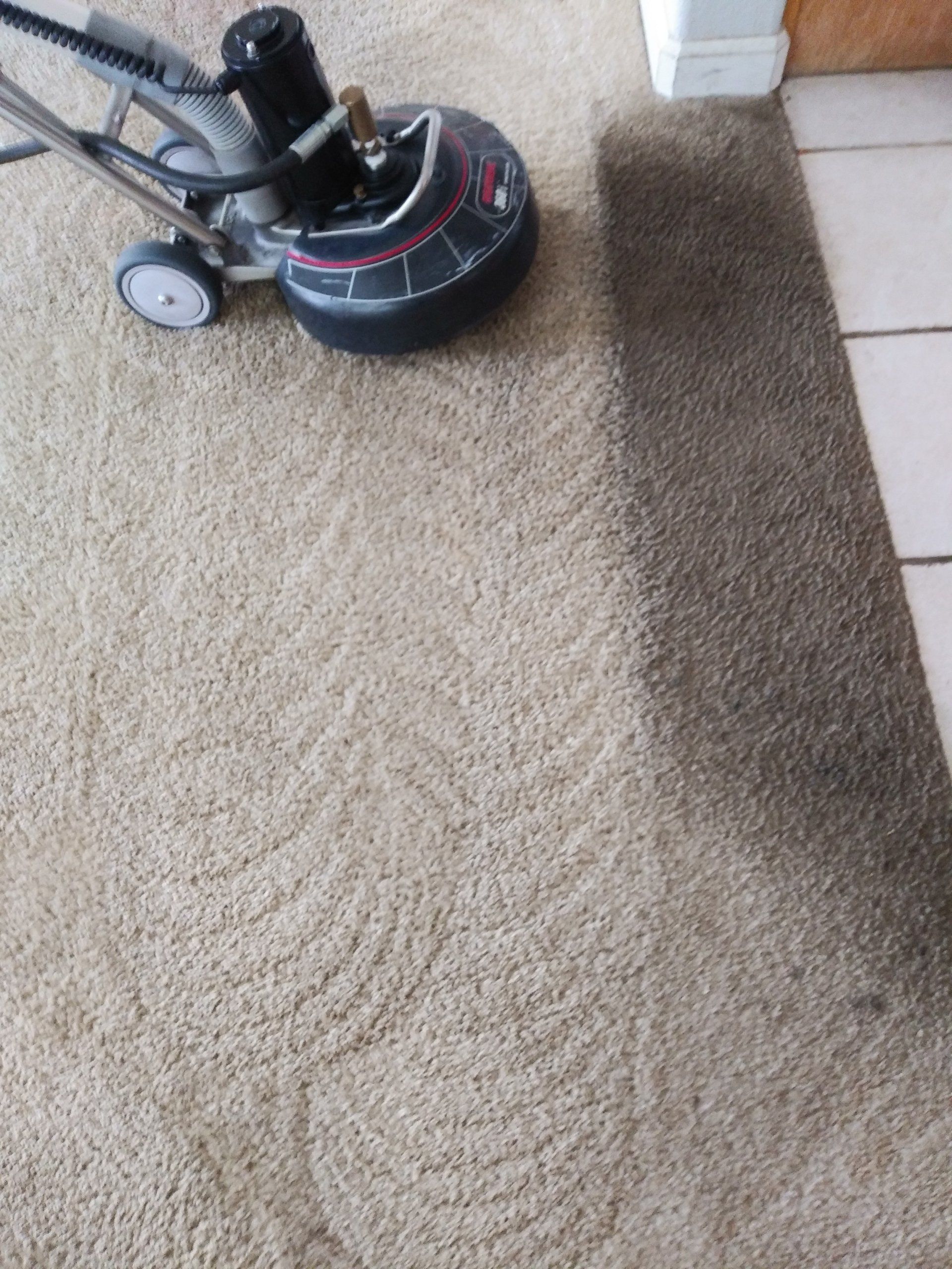 Carpet Cleaning