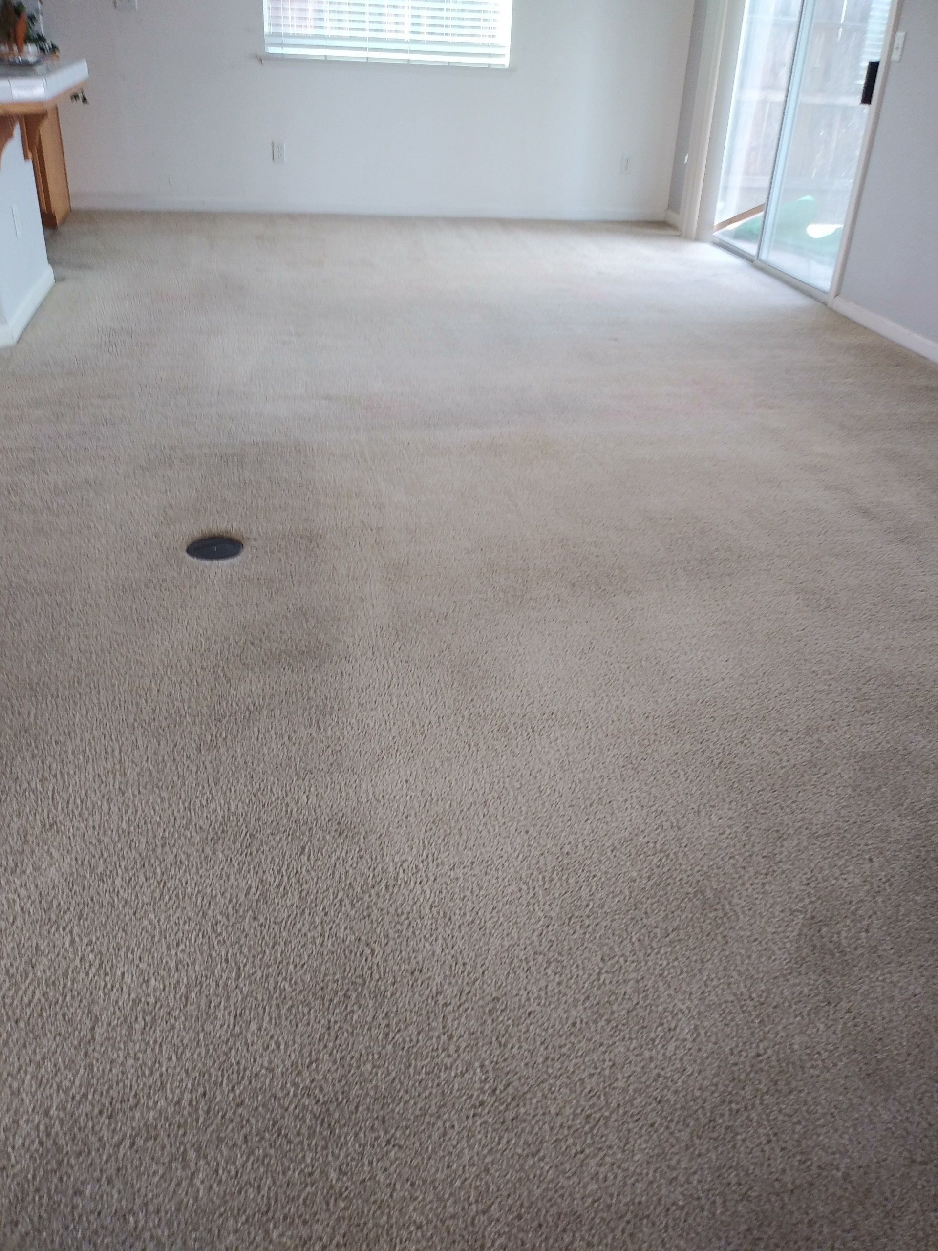 Carpet Cleaning - After