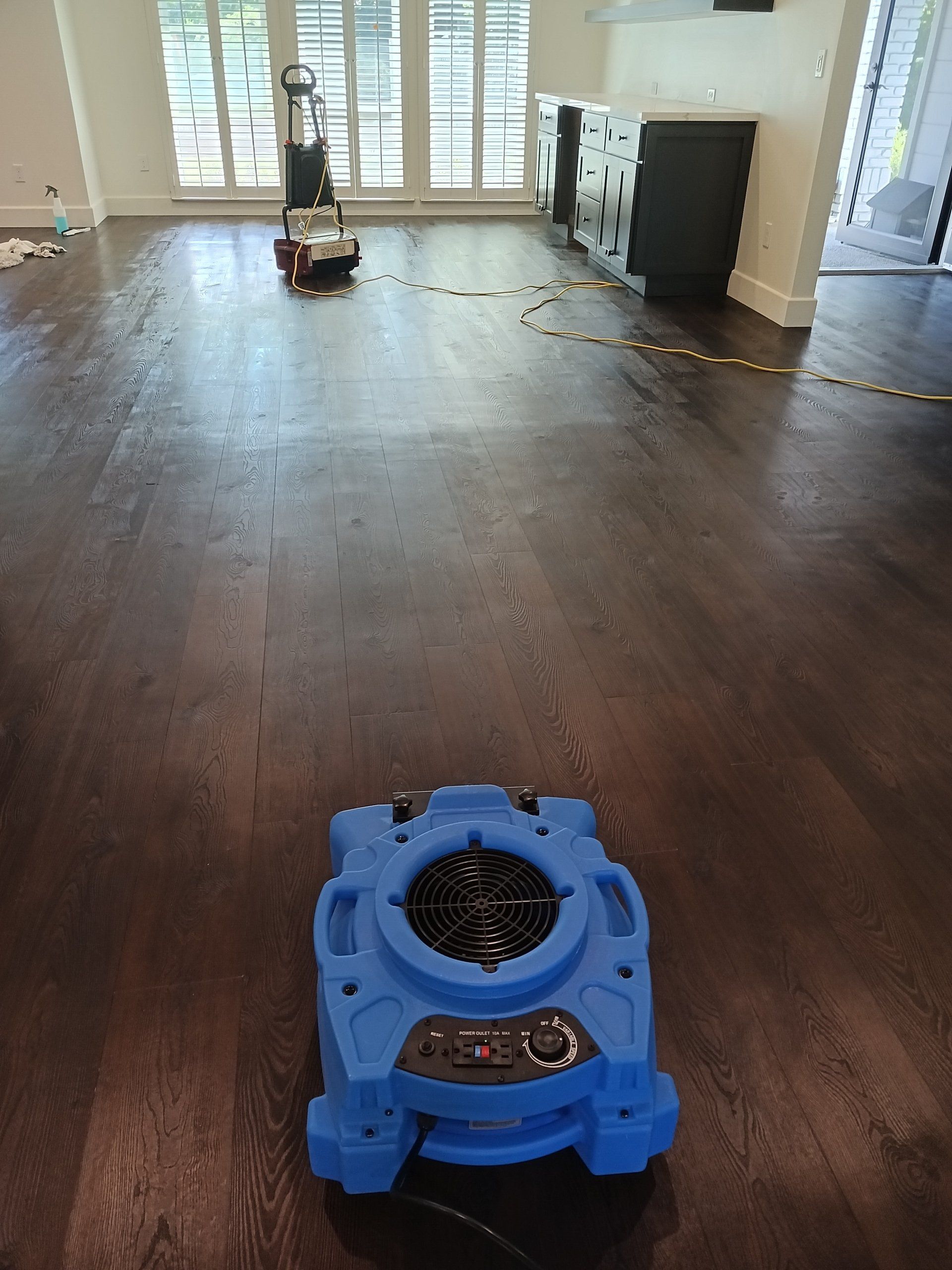 Luxury Vinyl Cleaning - After