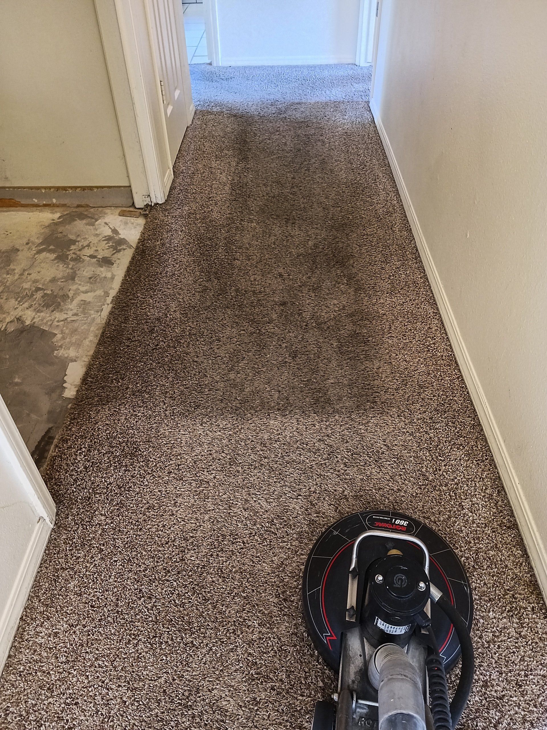 Carpet Cleaning