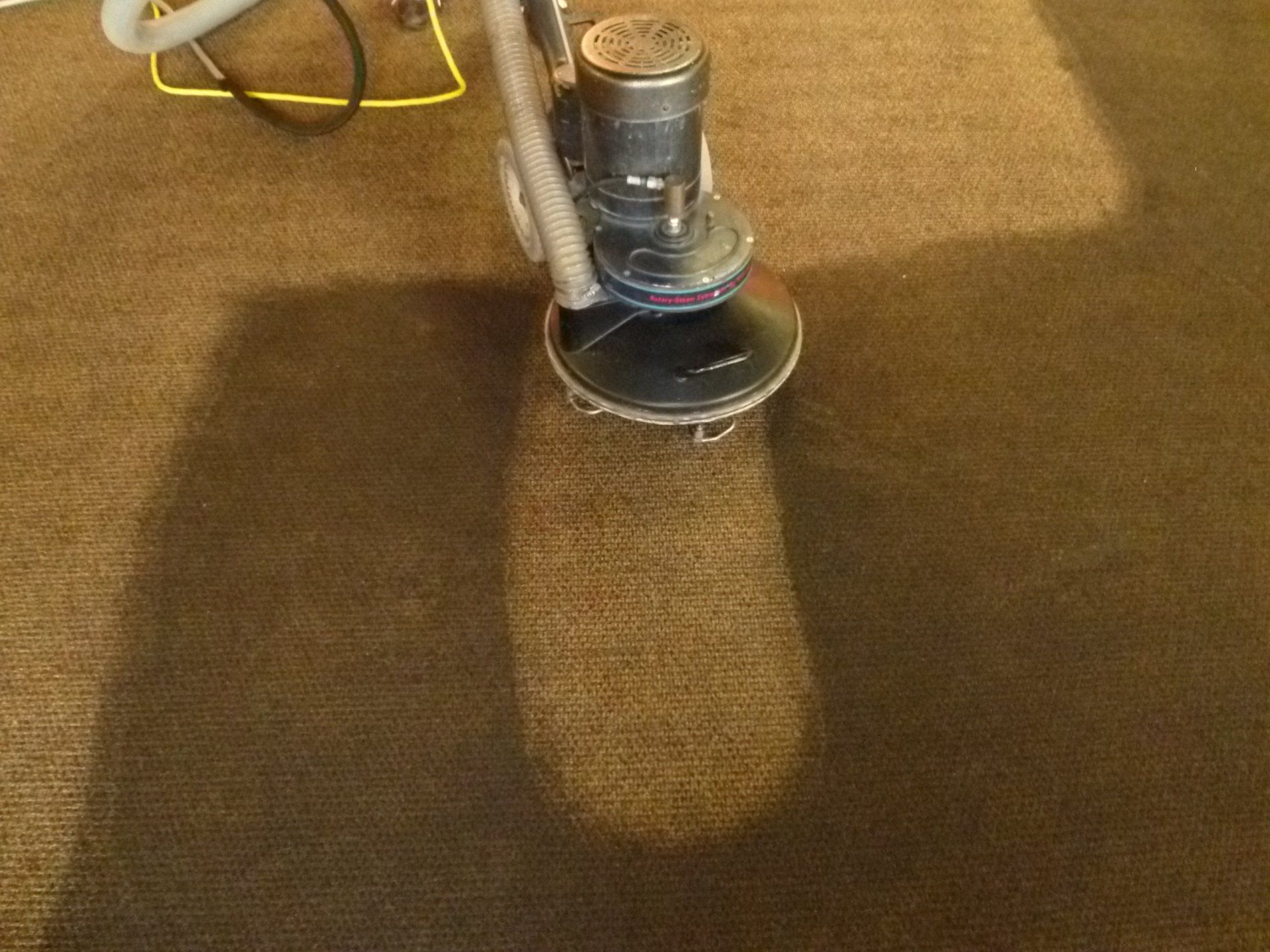 Carpet Cleaning