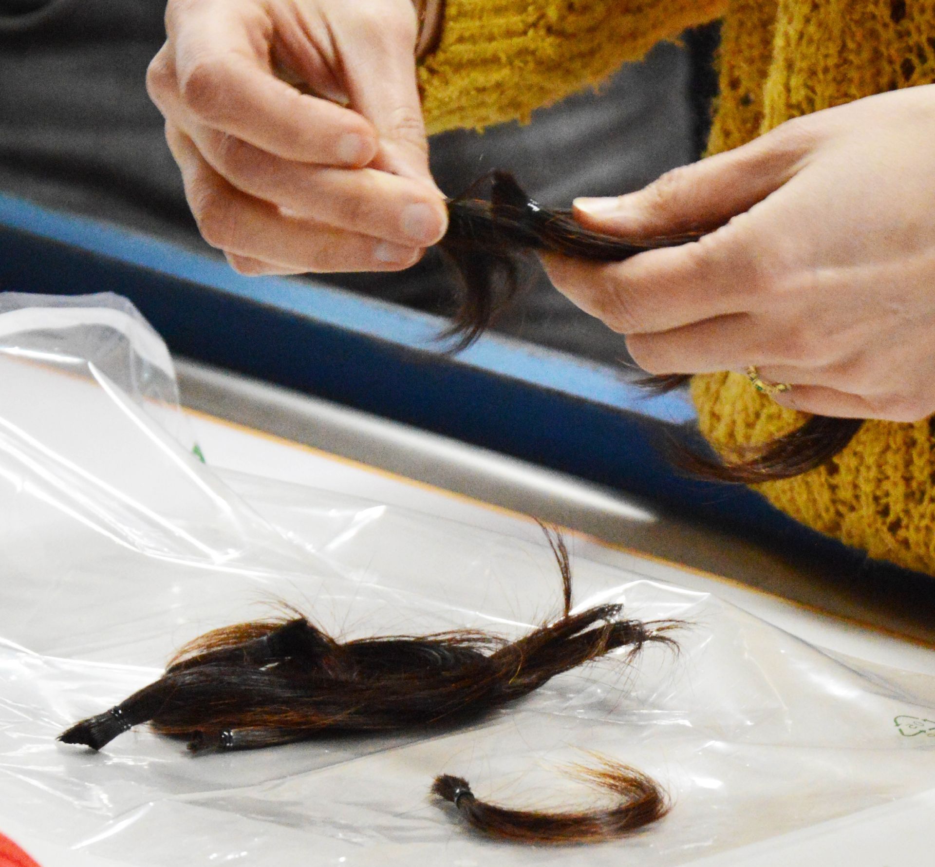 Une personne tient une mèche de cheveux dans ses mains