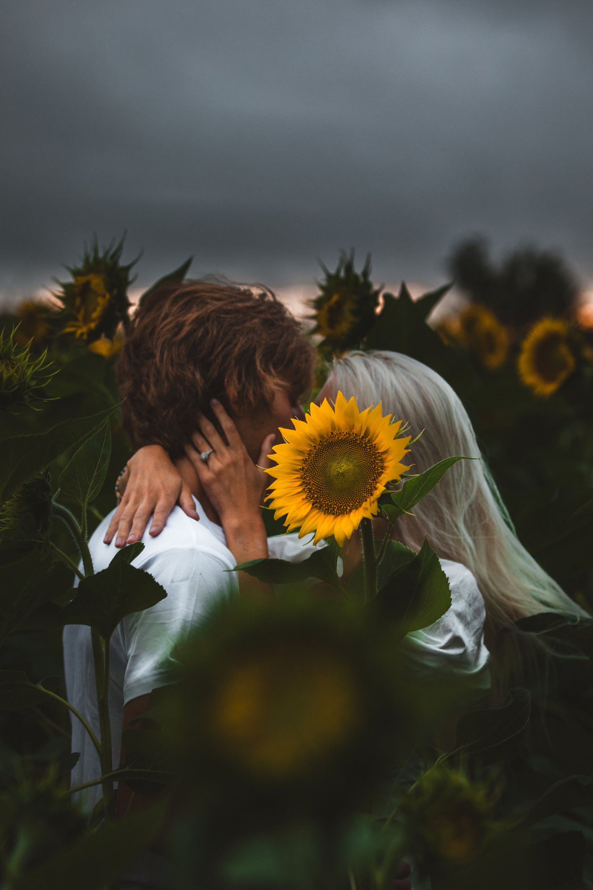 A man and a woman are hugging in a field of sunflowers.