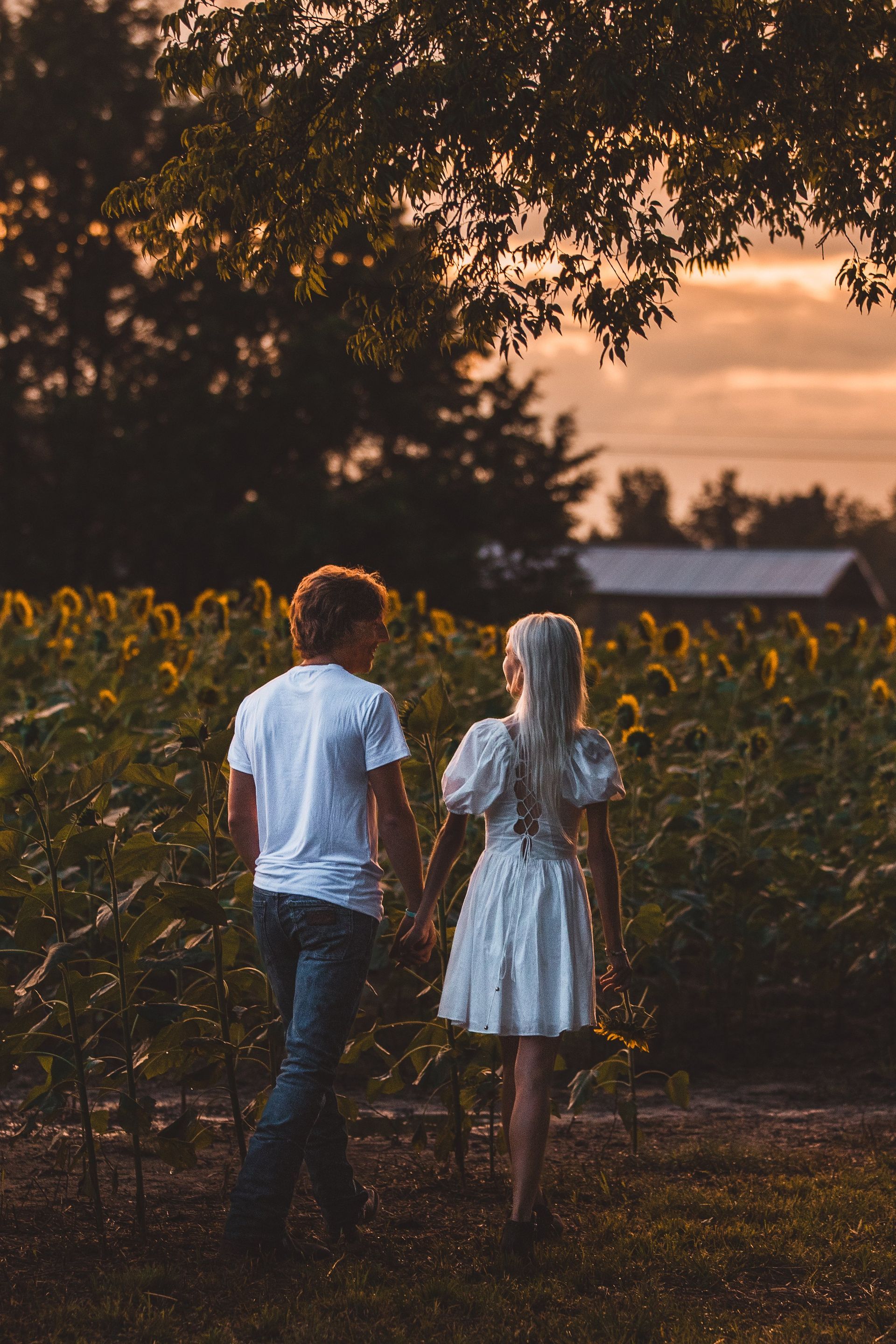 A man and a woman are holding hands in a field of sunflowers.