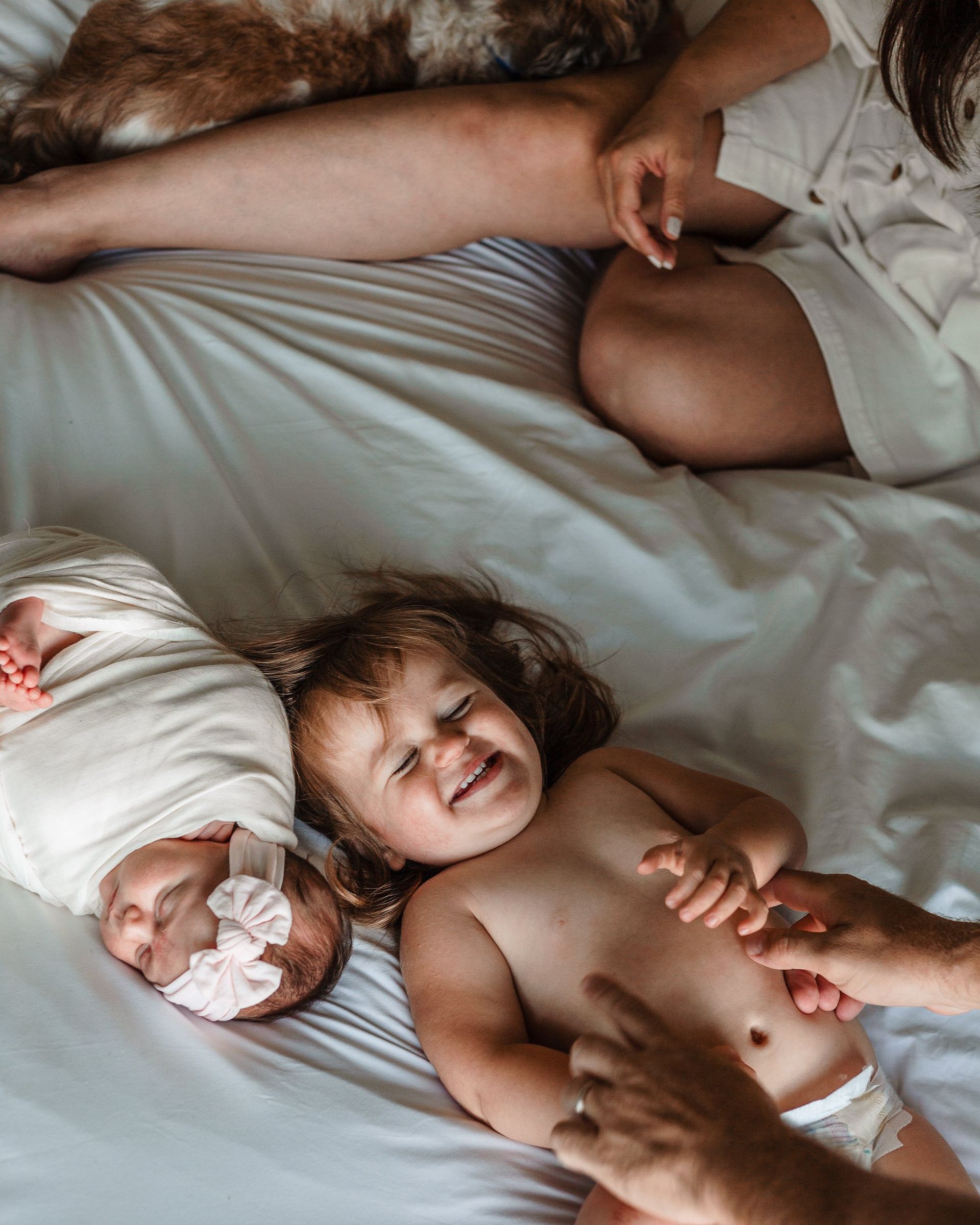 A woman is laying on a bed with two babies and a cat.