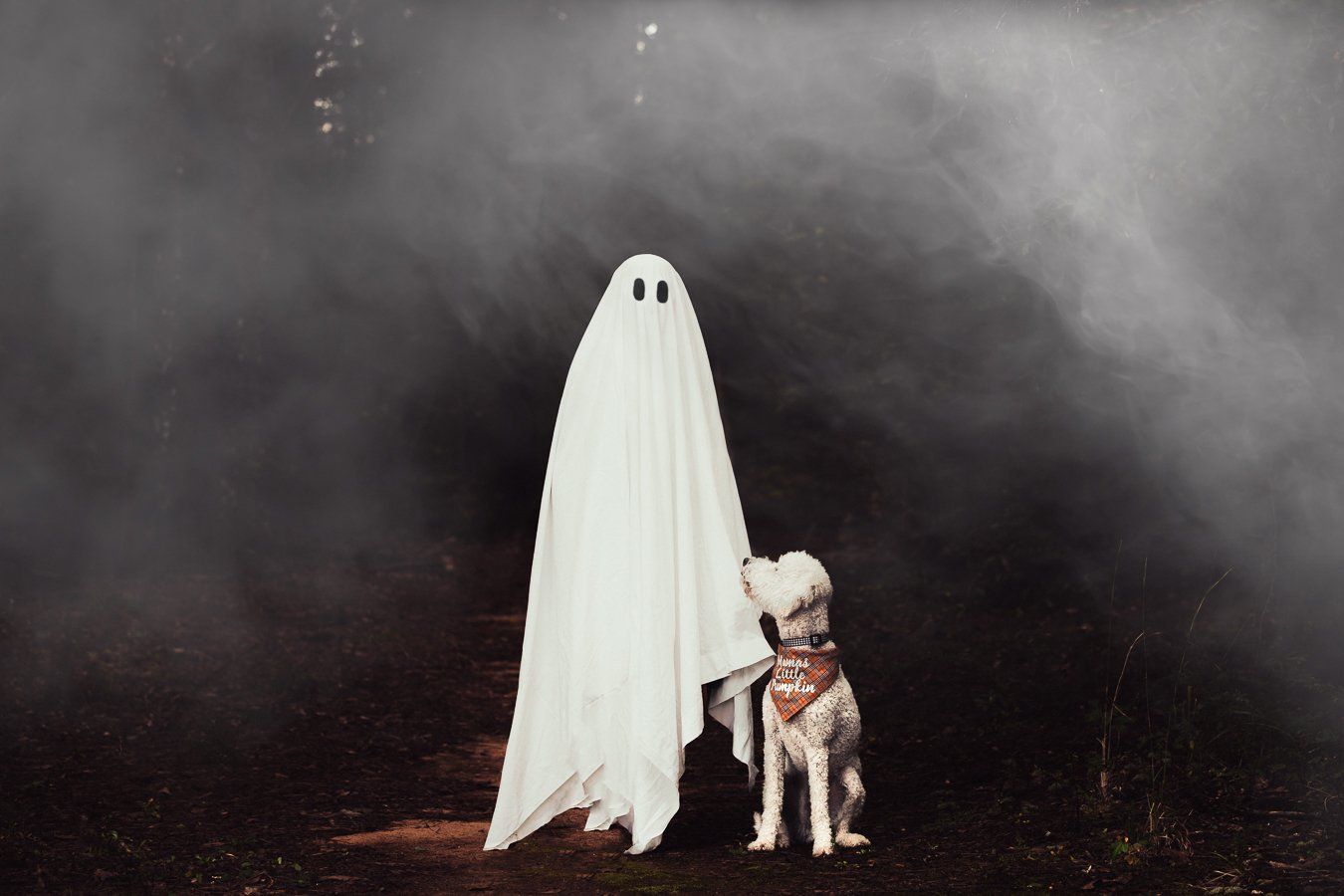 A dog is standing next to a ghost in a foggy forest.
