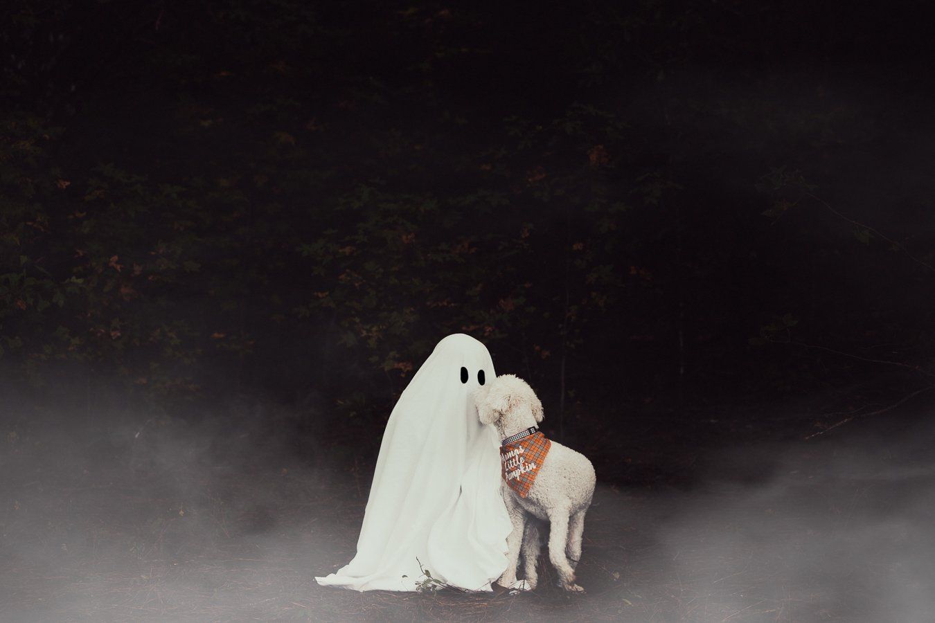 A ghost and a dog are standing next to each other in the dark.