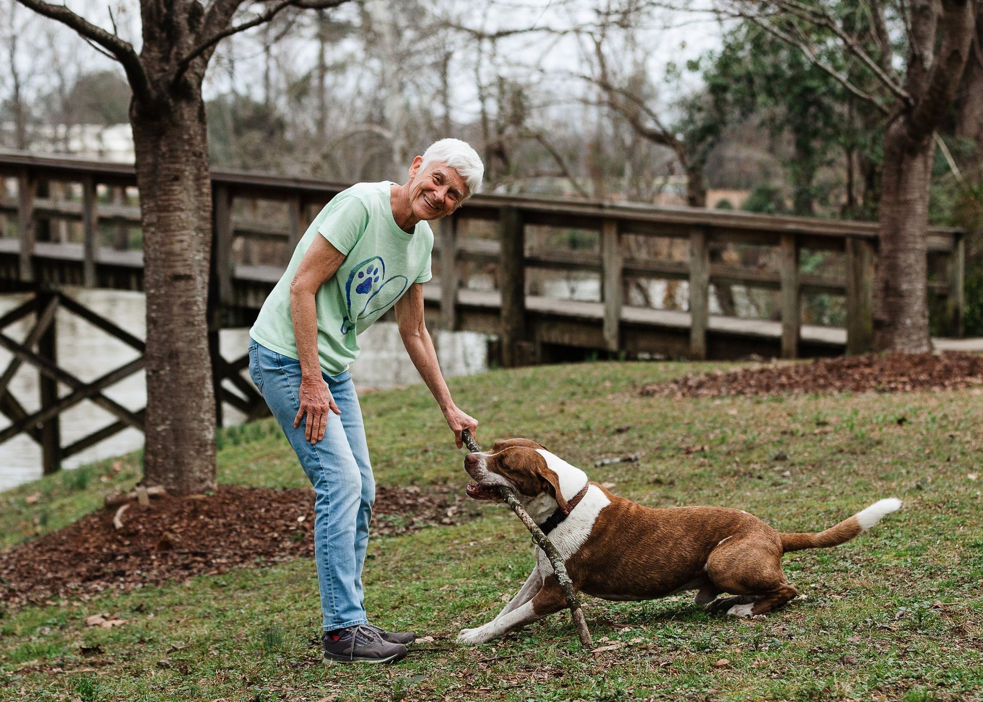 A woman is petting a brown and white dog in a park.