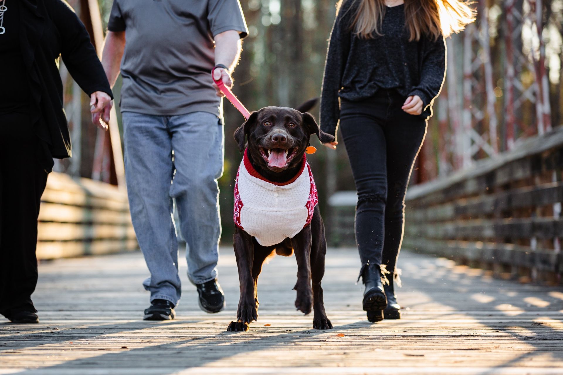 A family is walking a dog on a leash on a bridge.