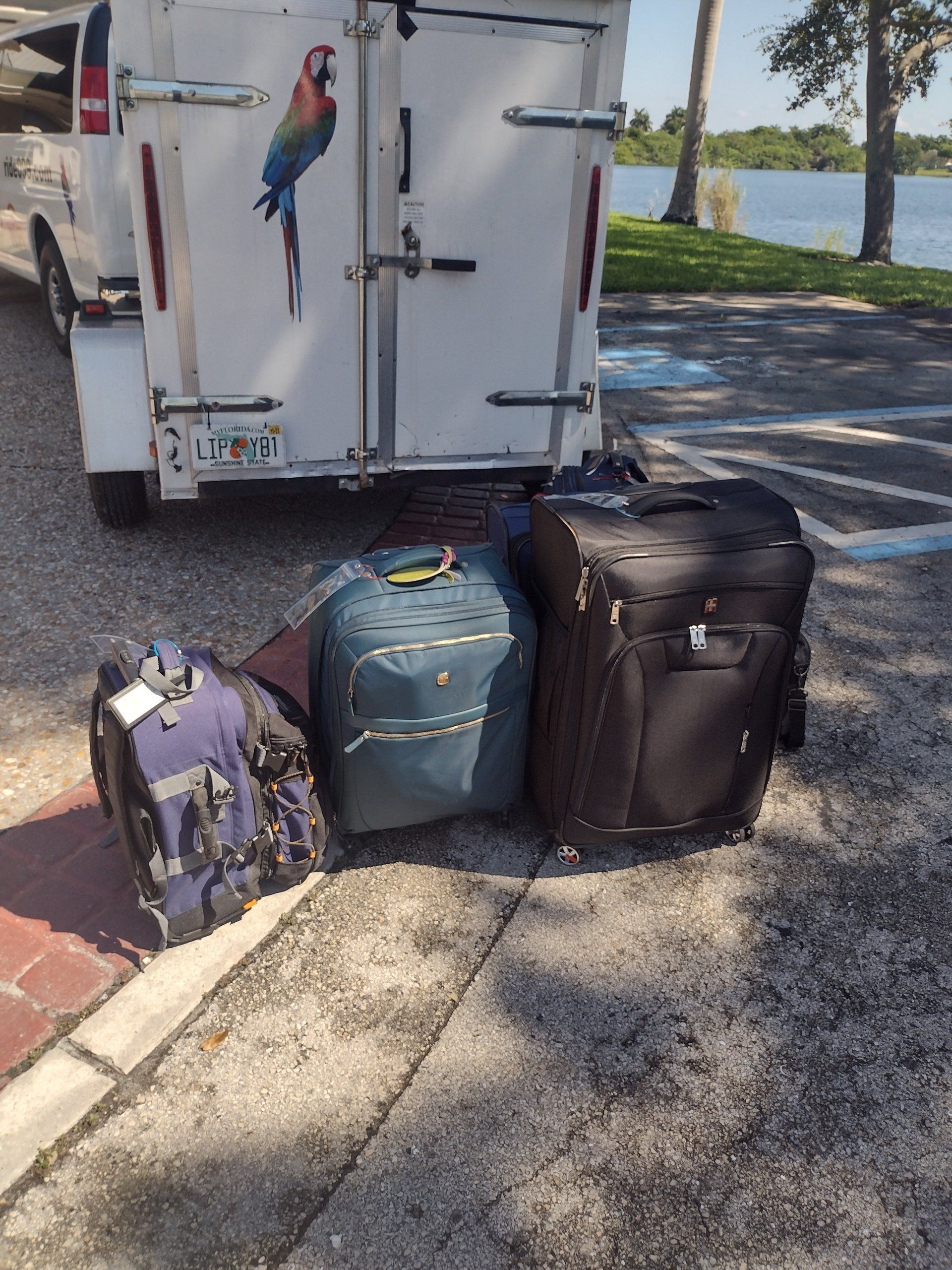 A white van with a parrot on the back is parked next to a bunch of luggage