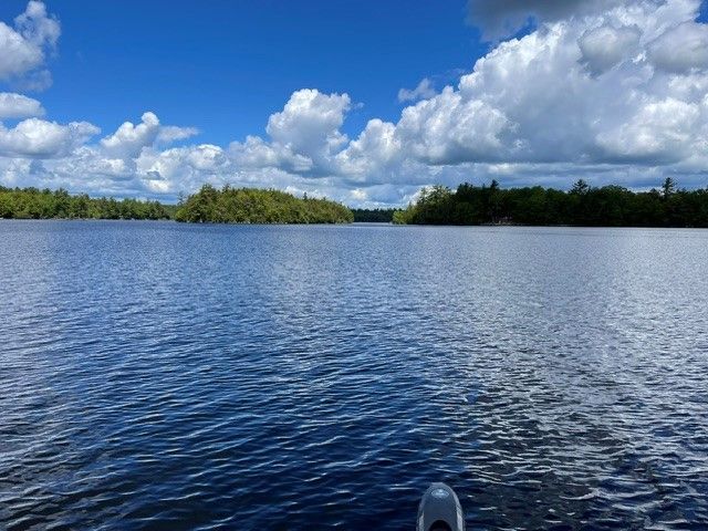 Calm blue water at Lake Gaston with a tree-lined shore and bright clouds in the sky,