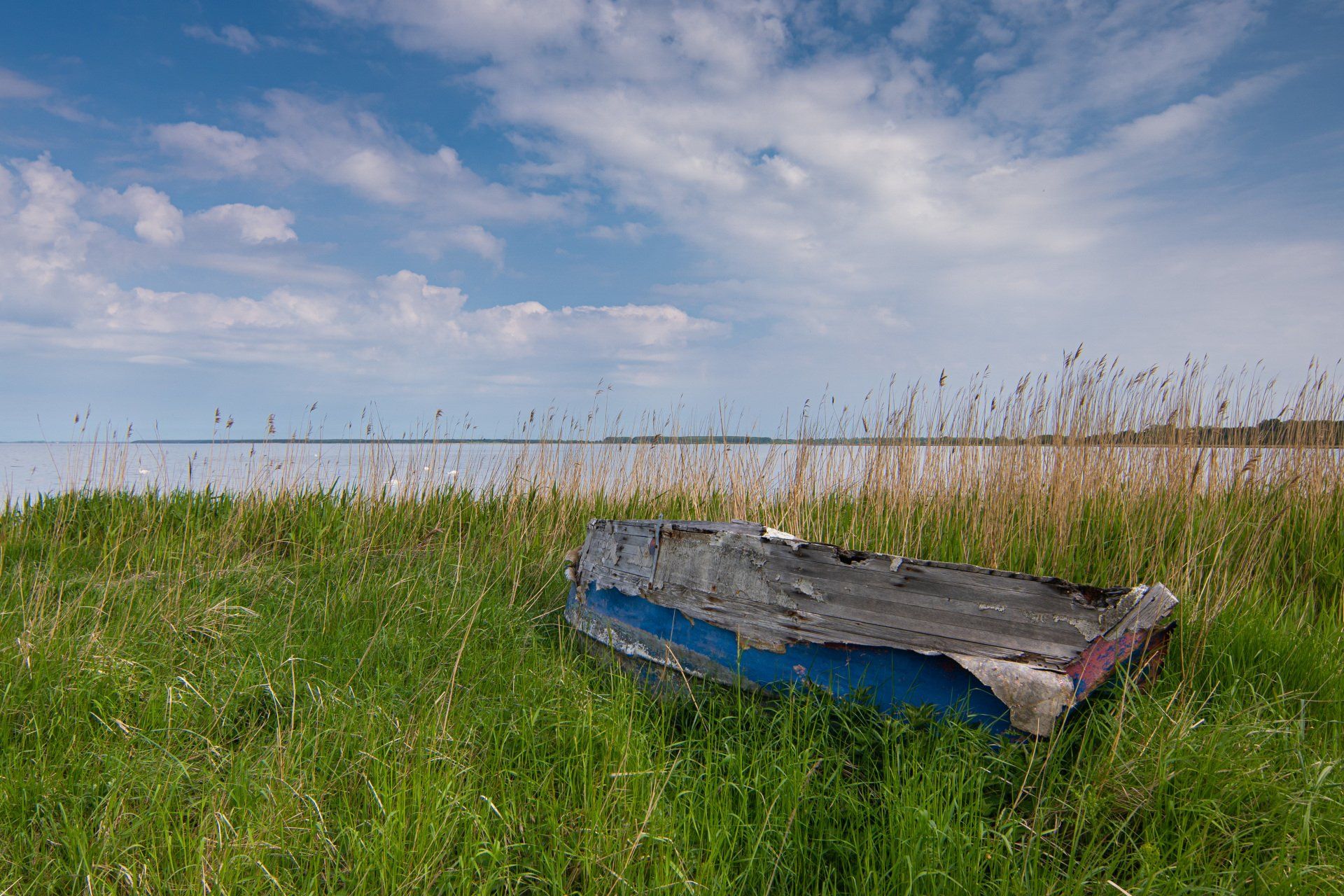 Rügen, Mecklenburg Vorpommerd, Schilf, Großer Jasmunder Bodden, Himmel, Wolken, Bootswrack,