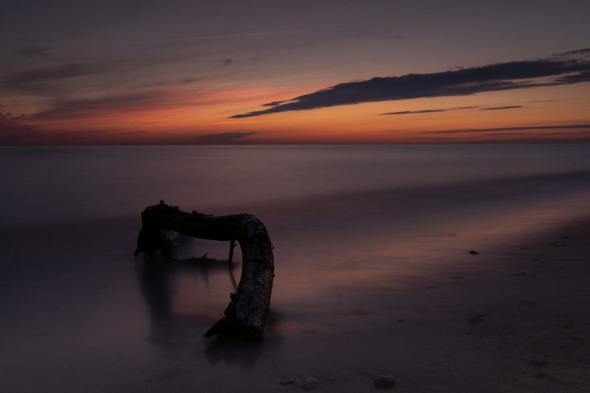 Ostsee, Weststrand, Strand, Baumast, Stille, Silence, Ahrenshoop