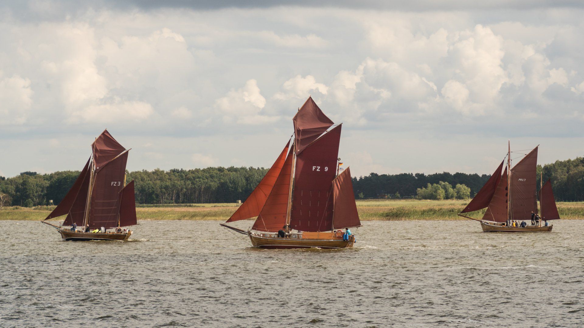 Zeesboote, Regatta, Segelboote, Bodden, Bodstedter Bodden, Vorpommern, Vorpommern-Rügen, Vorpommersche Boddenlandschaft