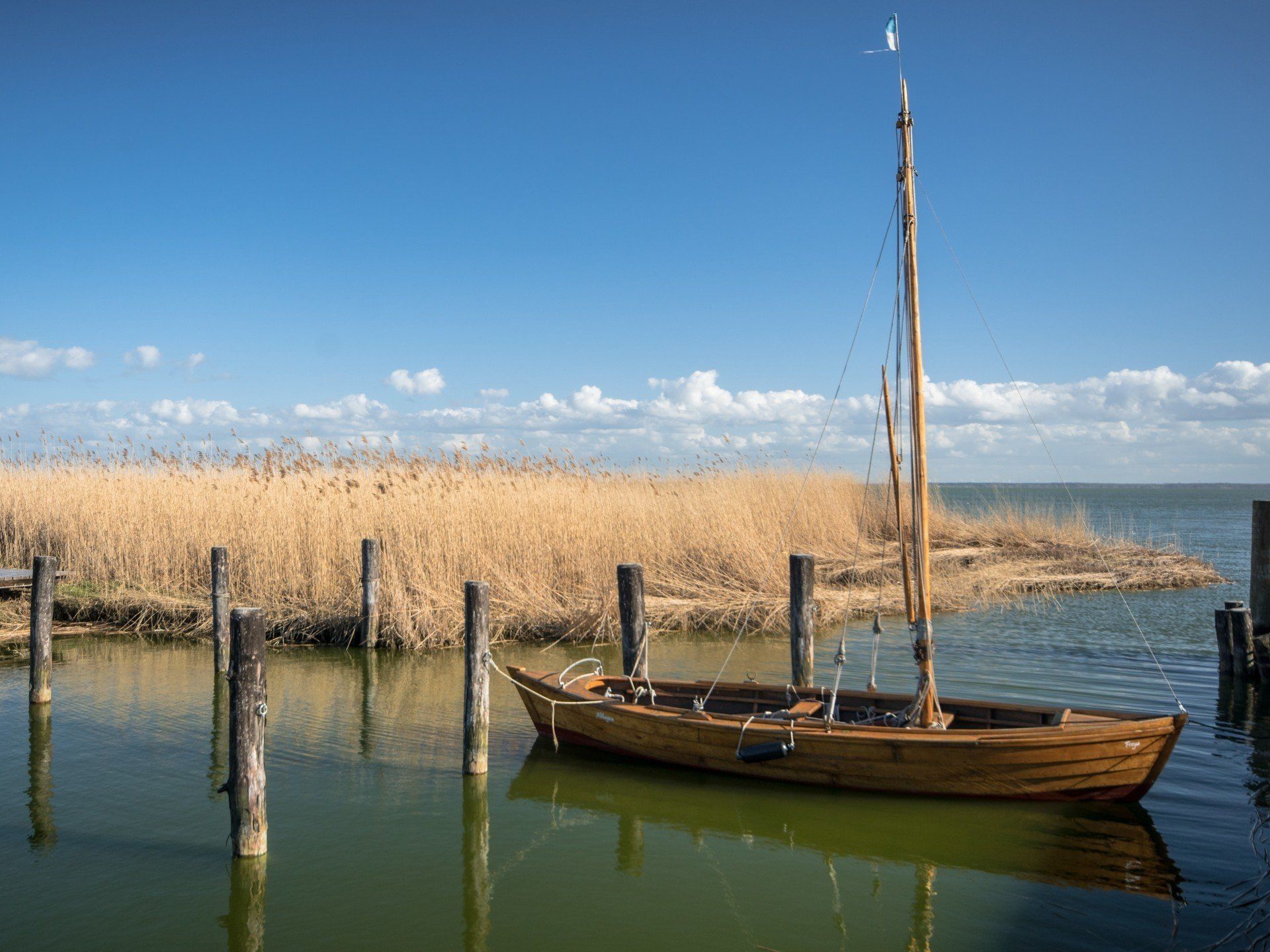 Zeesboote, Segelboot, Althagen, Hafen, Hafen Althagen, Wustrow, Ahrenshoop, Bodstedter Bodden, Ostsee, Mecklenburg-Vorpommern, Vorpommern