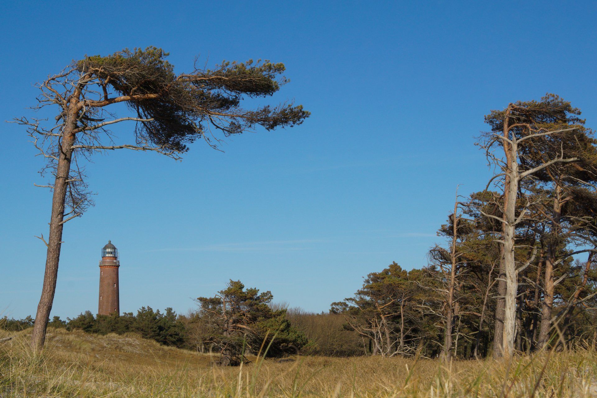 Leuchtturm, Darsser Ort, Nationalpark Vorpommersche Boddenlandschaft, Strand, Weststrand, Wald, Himmel,ecklenburg-Vorpommern, Vorpommern,