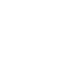 Empty white space.