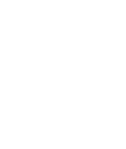 WG Iron Repair Service