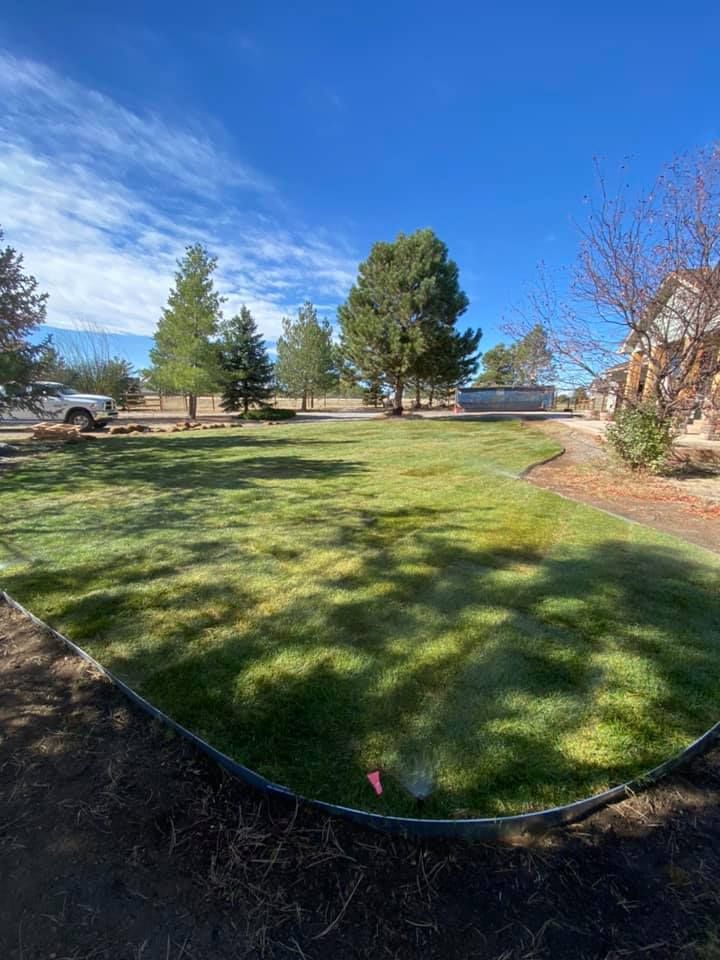 A large lush green lawn with trees in the background on a sunny day.