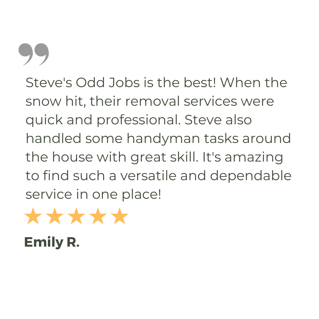 Steve 's odd jobs is the best ! when the snow hit , their removal services were quick and professional.