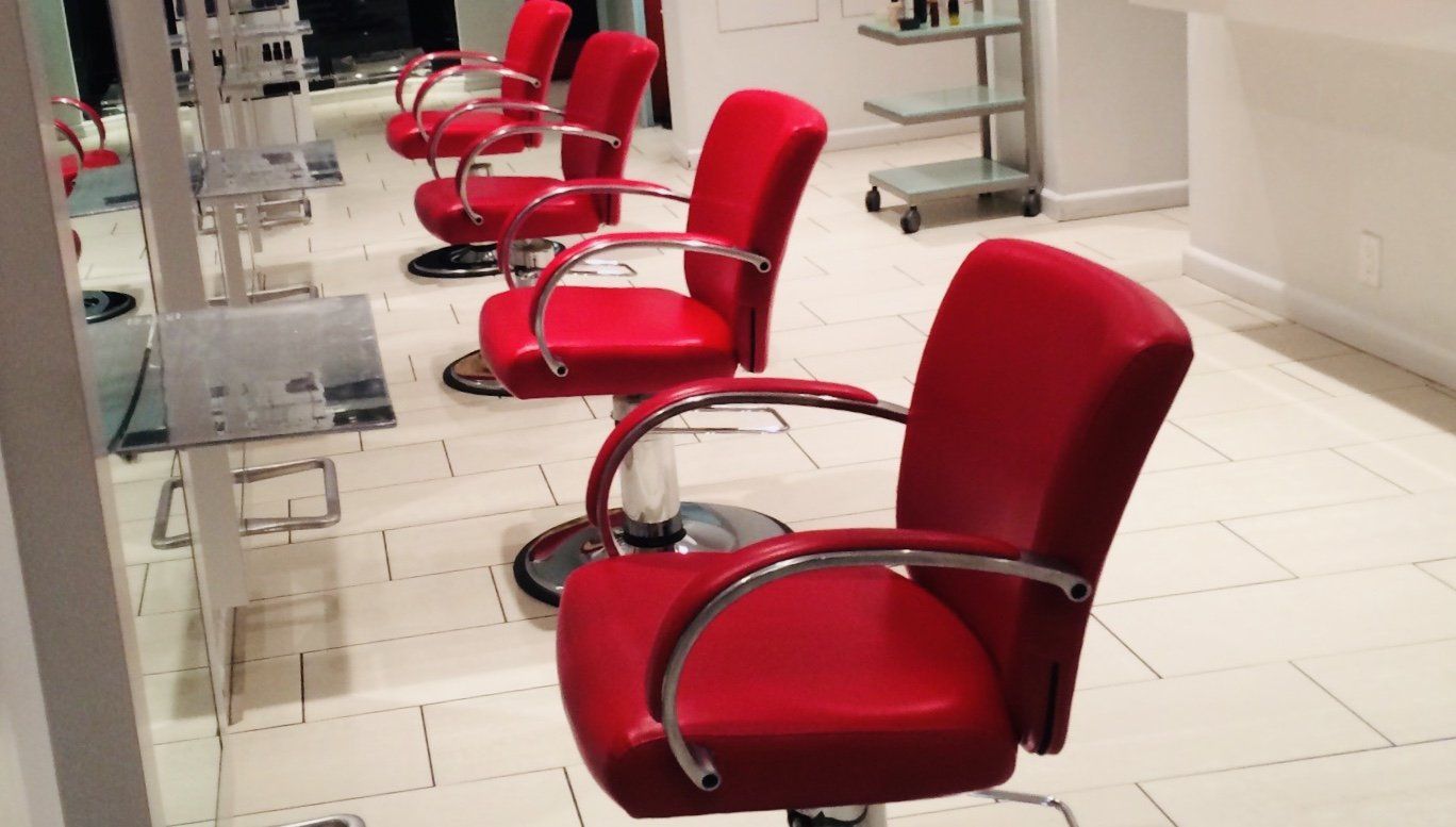 Didi Salon Chairs