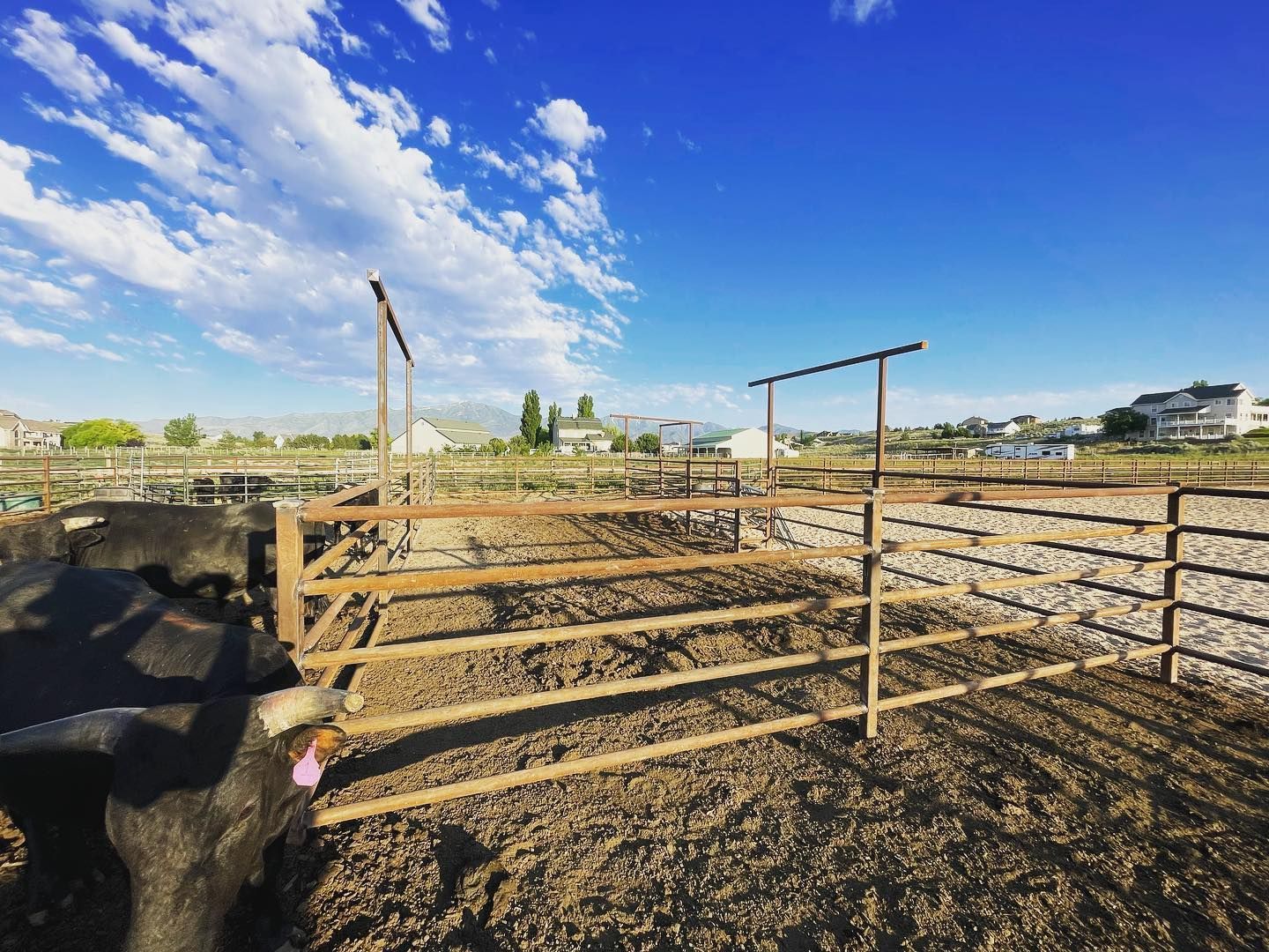 custom fabrication, farm, farm truck, farm welding, mobile welding, steel, cattle, roper arenas, steer. 