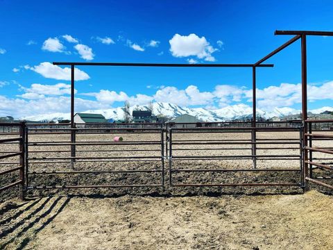 A metal corral gate in a dry field, with snow-covered mountains under a bright blue sky in the background.