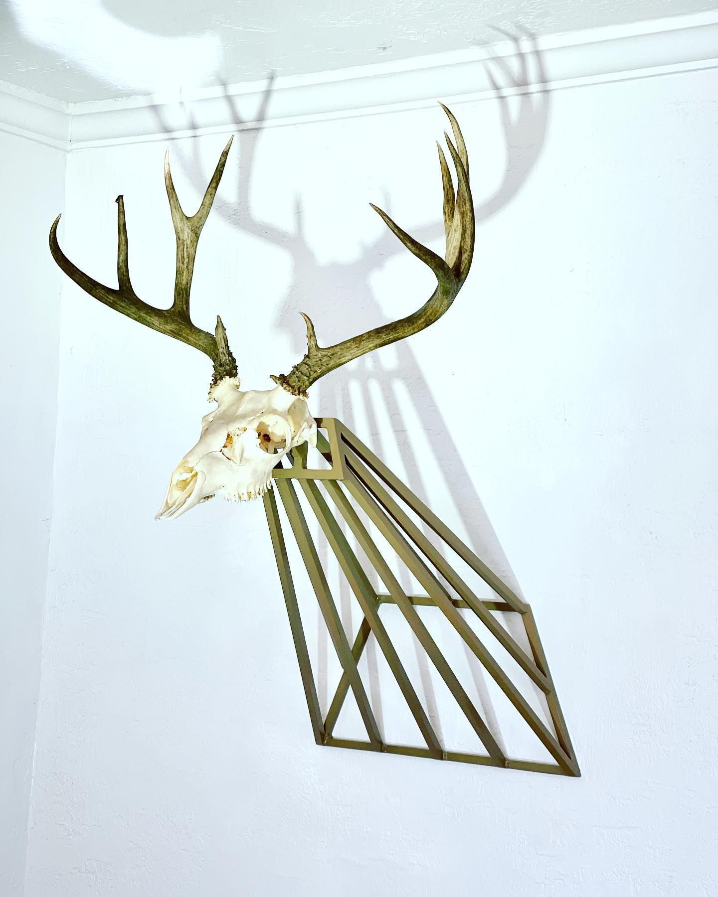euro mount, steel, custom fabrication, hunting, deer, mule deer.
