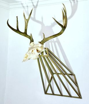 A deer skull with large antlers is mounted on a geometric, diamond-shaped, metallic frame on a white wall.
