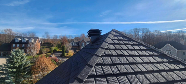 Toits de maisons de banlieue sous un ciel d'un bleu éclatant, avec un toit de bardeaux sombres au premier plan.