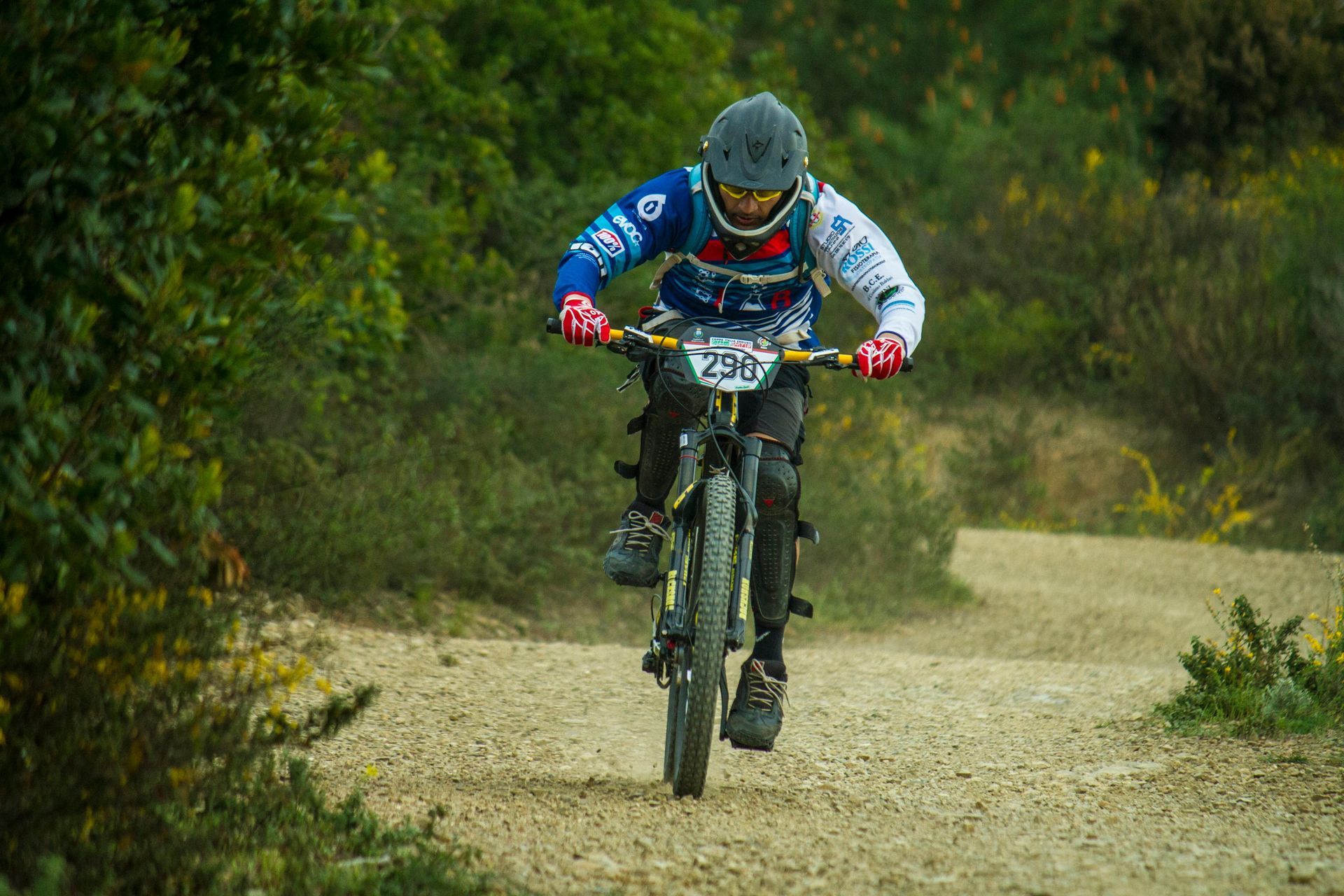 A cyclist in gear rides a mountain bike down a gravel trail flanked by greenery, leaning forward with focus.